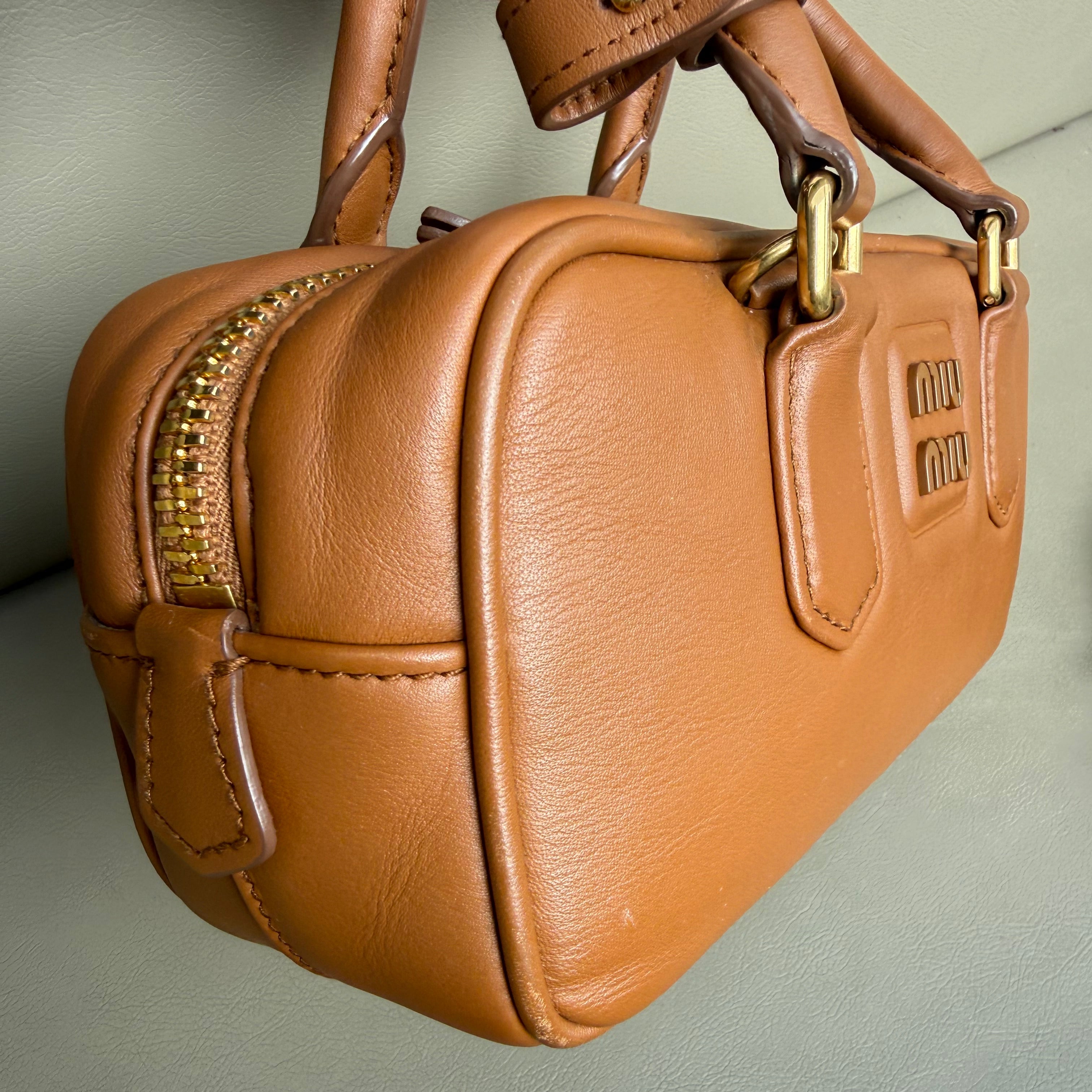 Miu Miu Arcadie leather bag