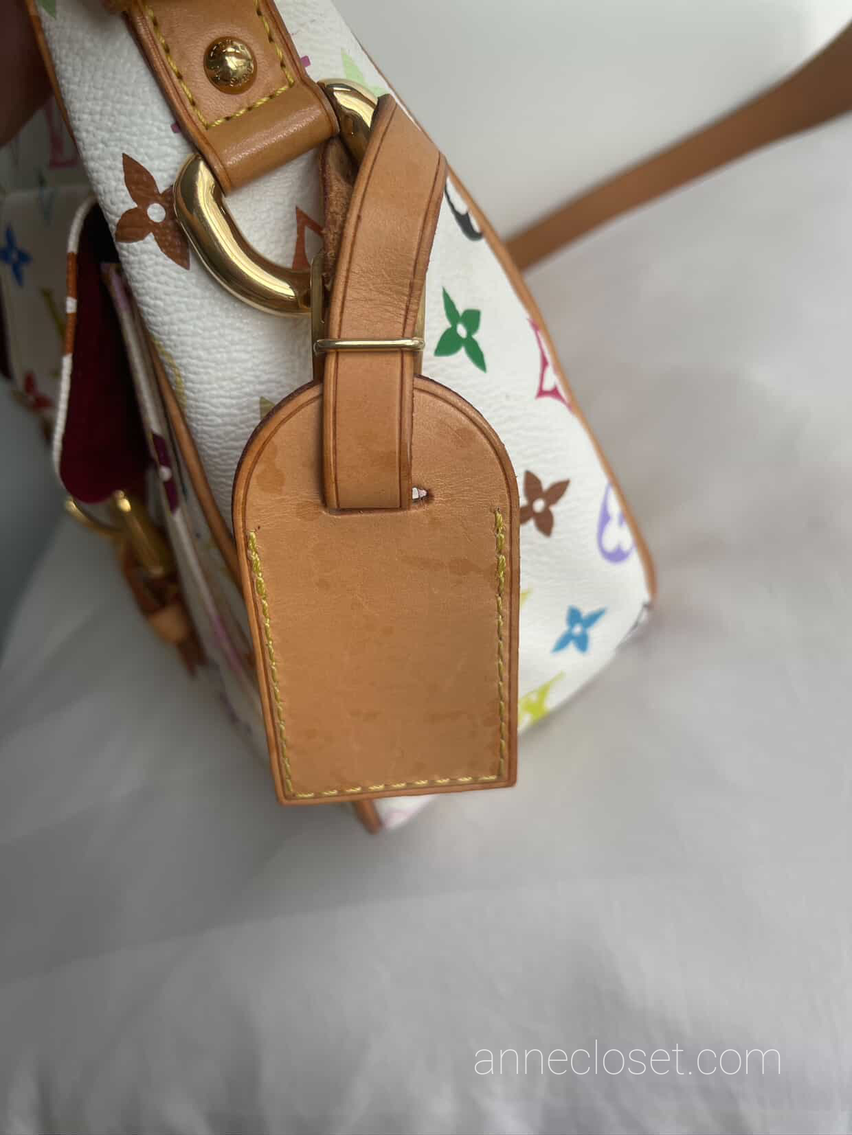 Louis Vuitton Lodge GM Multicolour Shoulder Bag