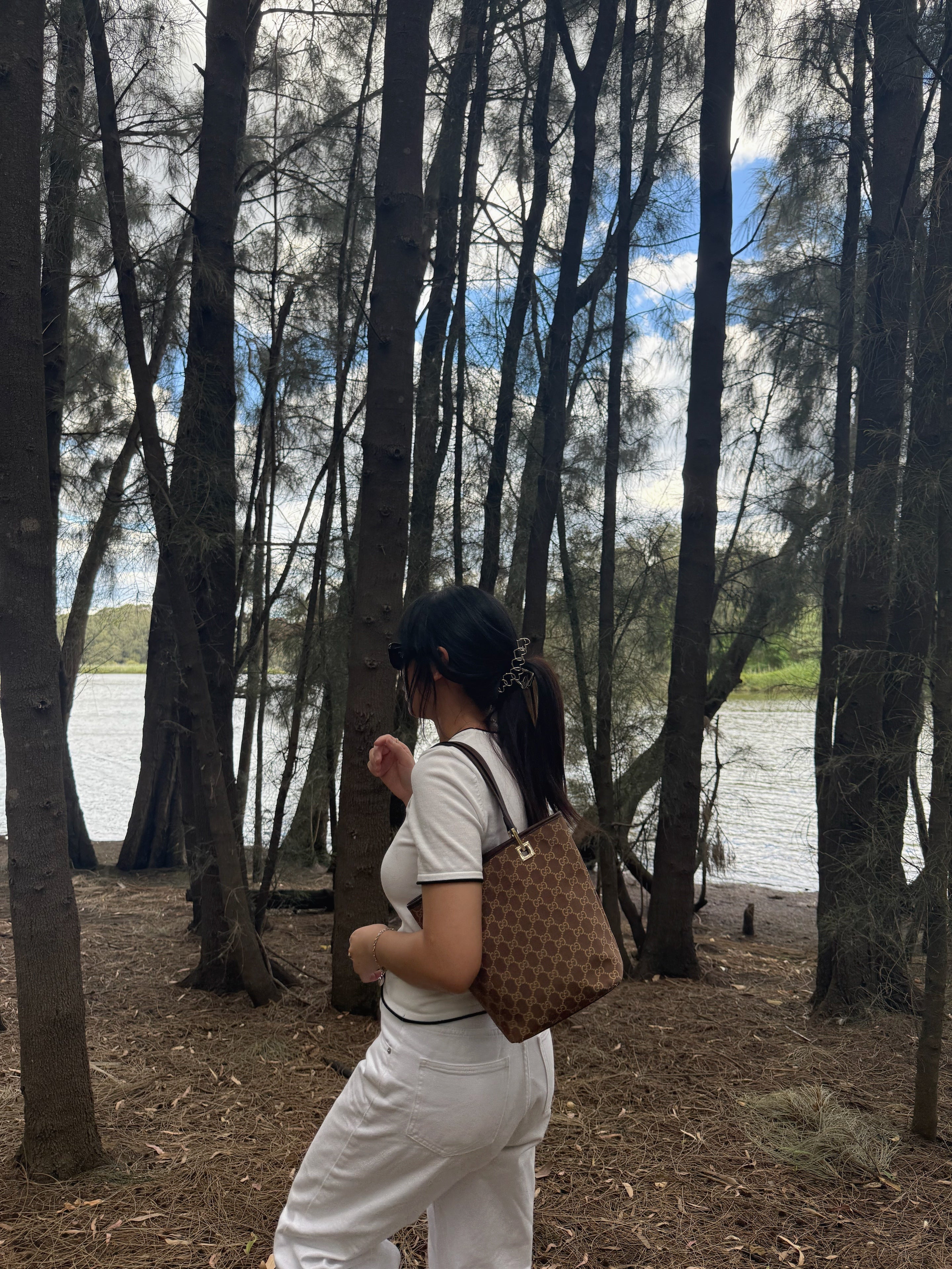 Gucci GG Brown Canvas Tote Bag