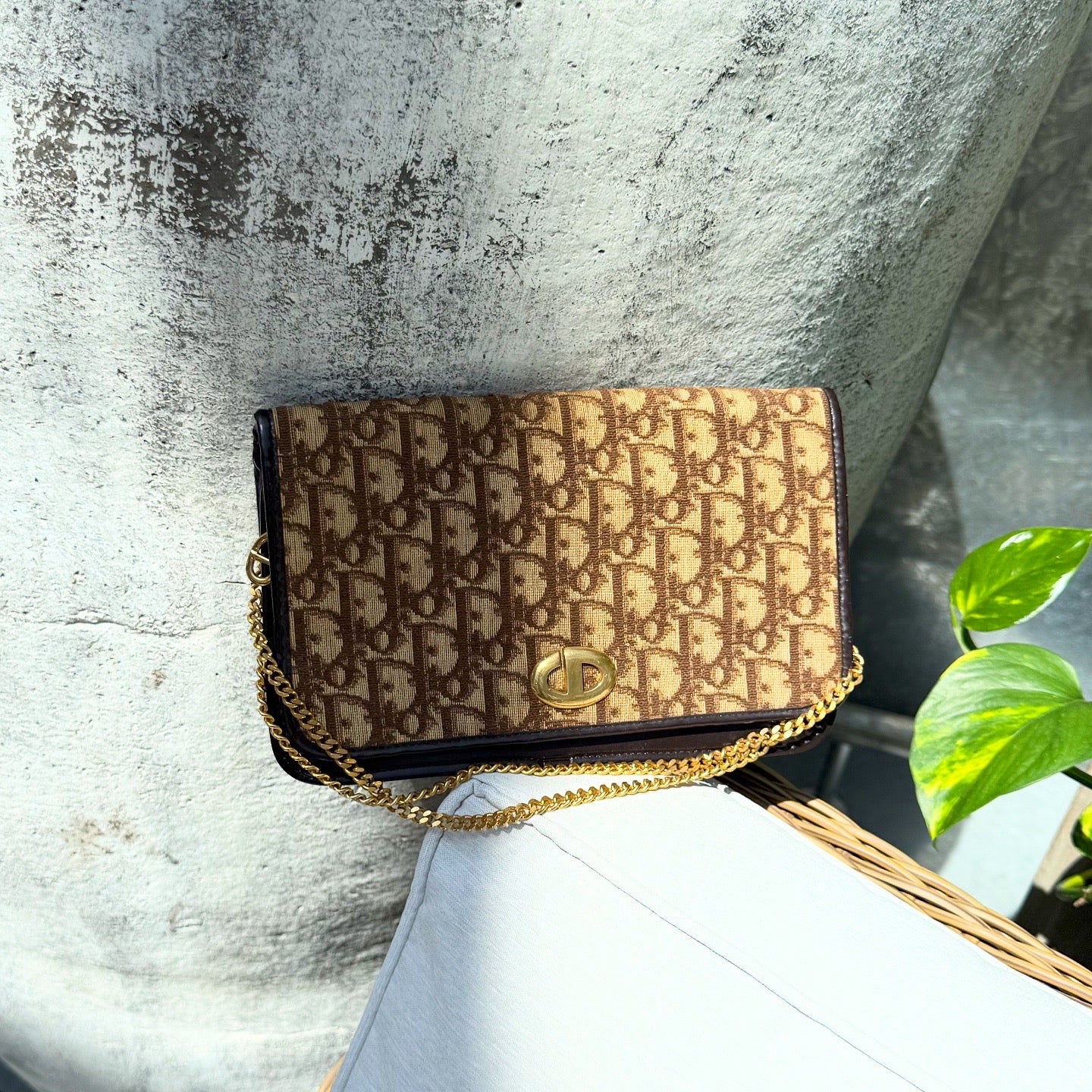 Dior Brown Trotter Jacquard Chain Shoulder Bag