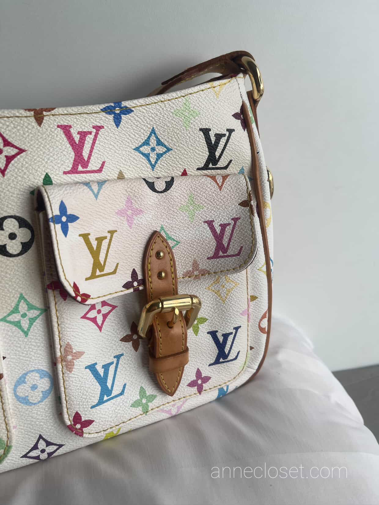 Louis Vuitton Lodge GM Multicolour Shoulder Bag