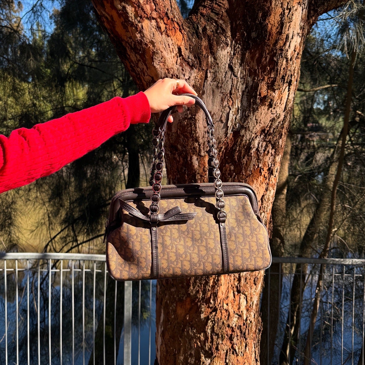 Dior Romantique Brown Trotter Ribbon Handbag