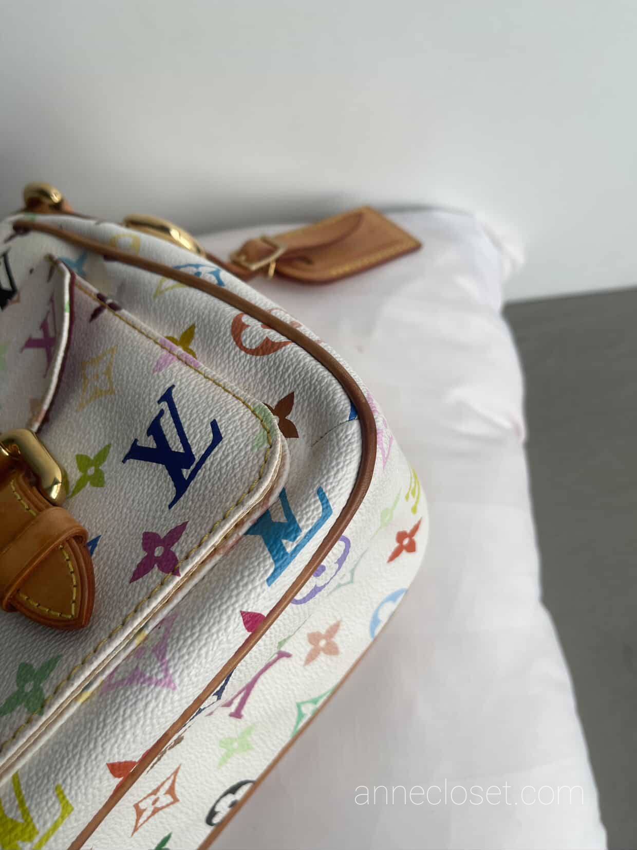 Louis Vuitton Lodge GM Multicolour Shoulder Bag