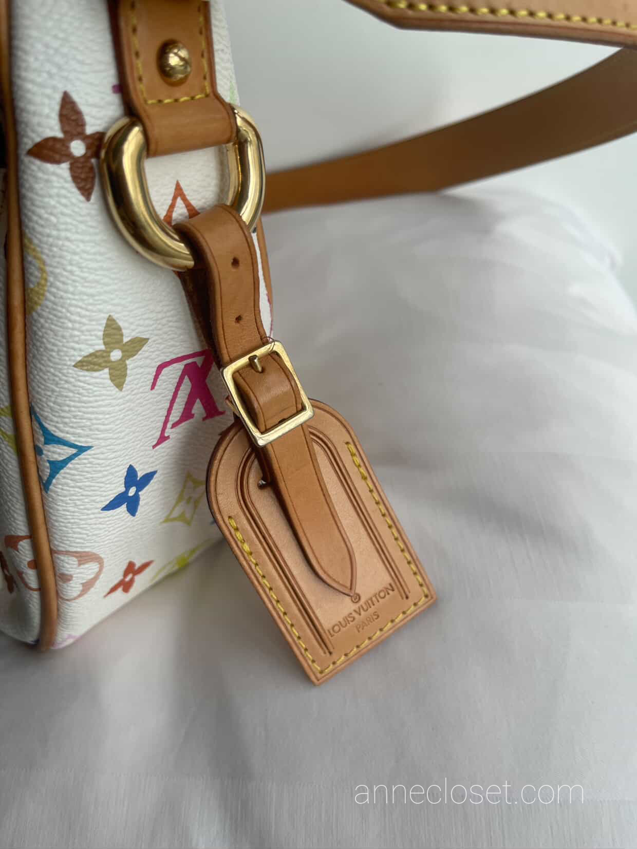 Louis Vuitton Lodge GM Multicolour Shoulder Bag