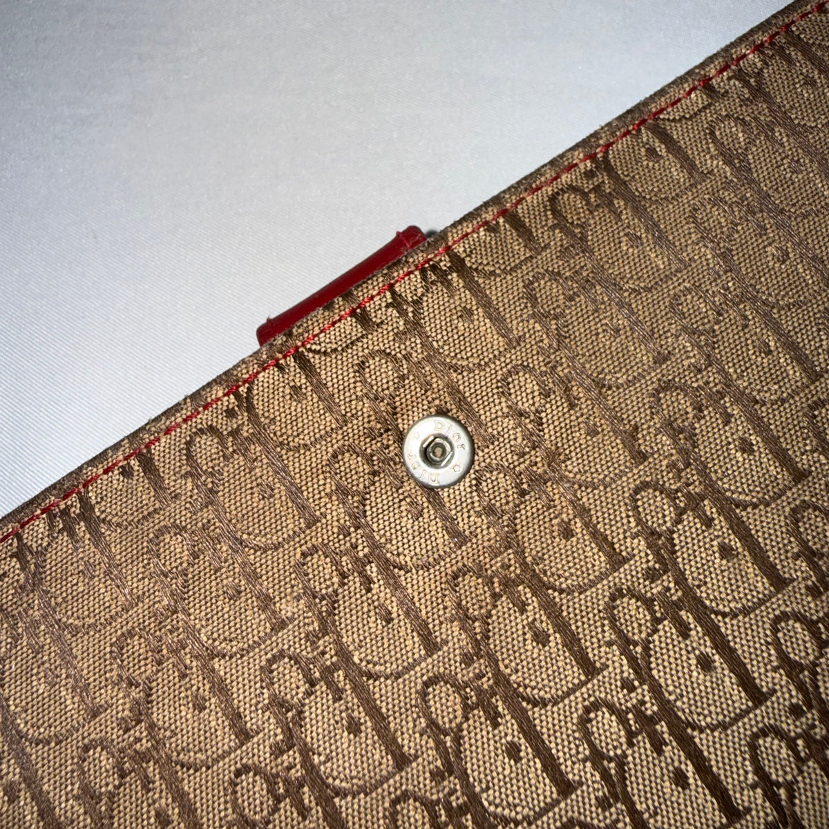 Christian Dior Rasta Print Saddle Wallet