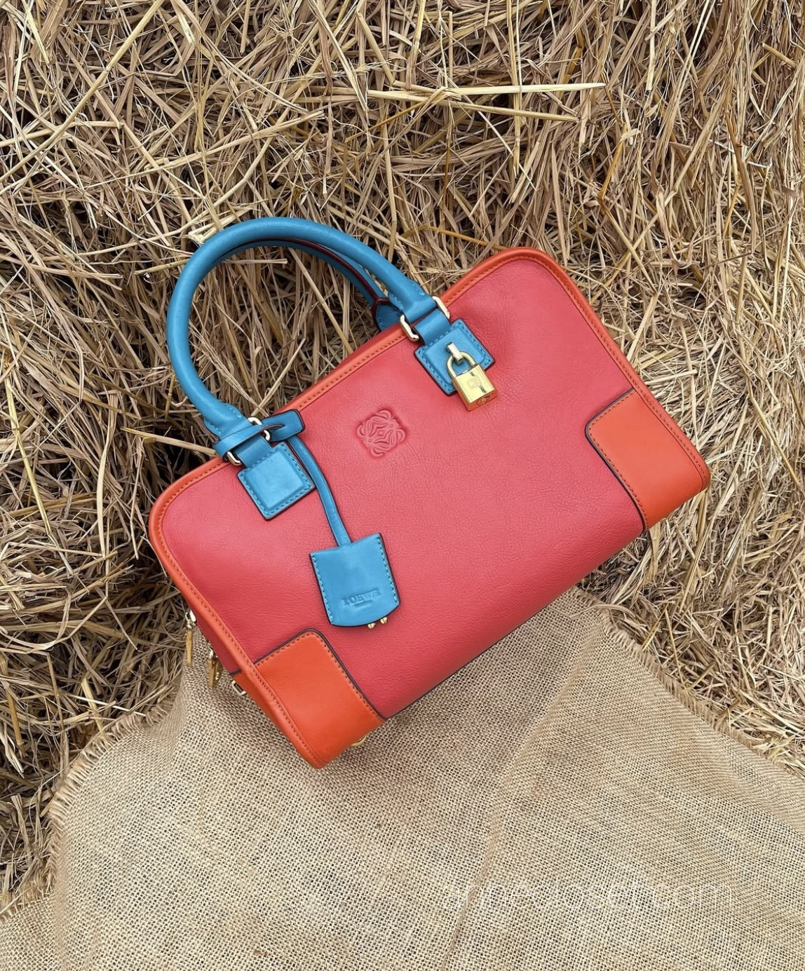 LOEWE AMAZONA Red and Blue
