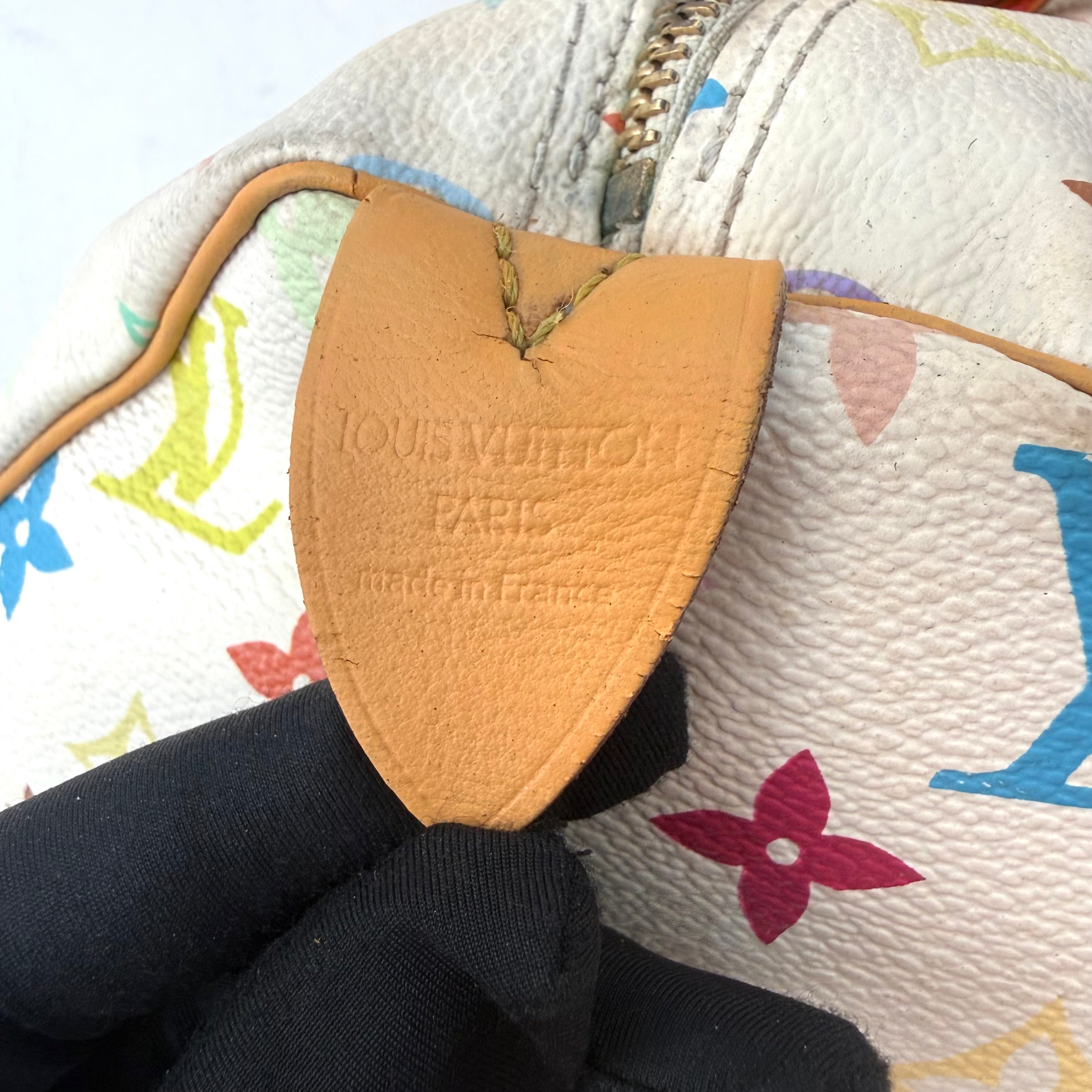 Louis Vuitton Speedy 30 Monogram Multicolore