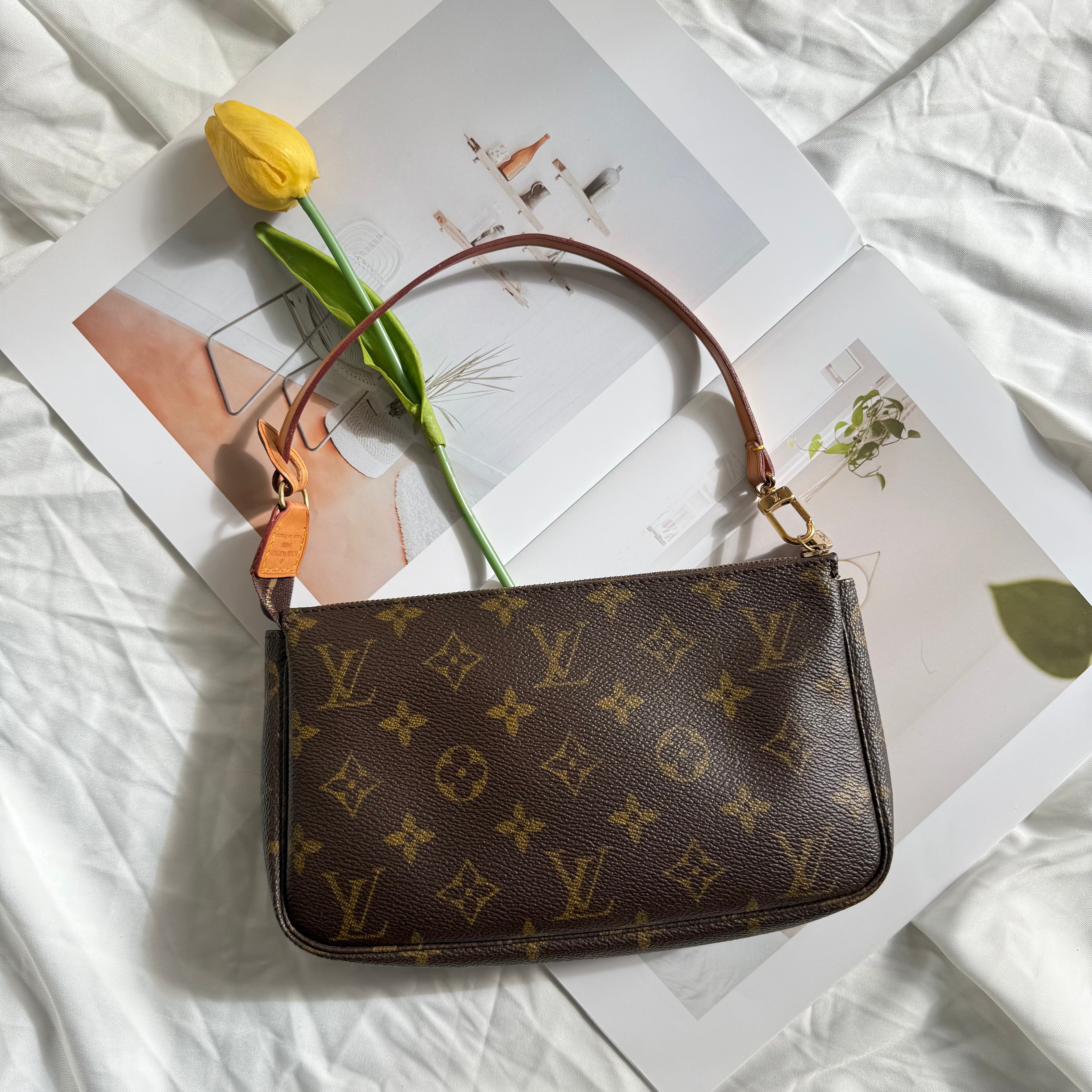 Louis Vuitton Pochette Accessoires Monogram