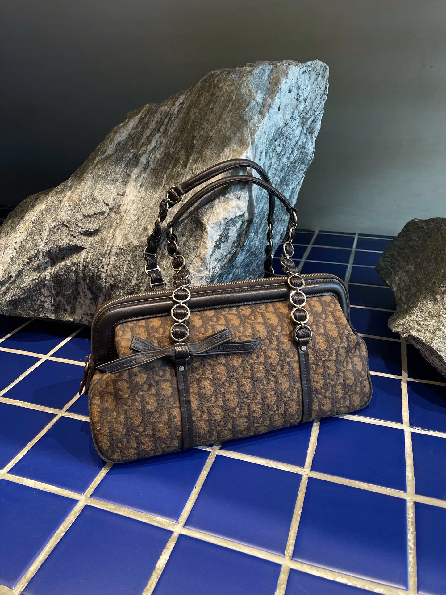 Dior Romantique Brown Trotter Ribbon Handbag