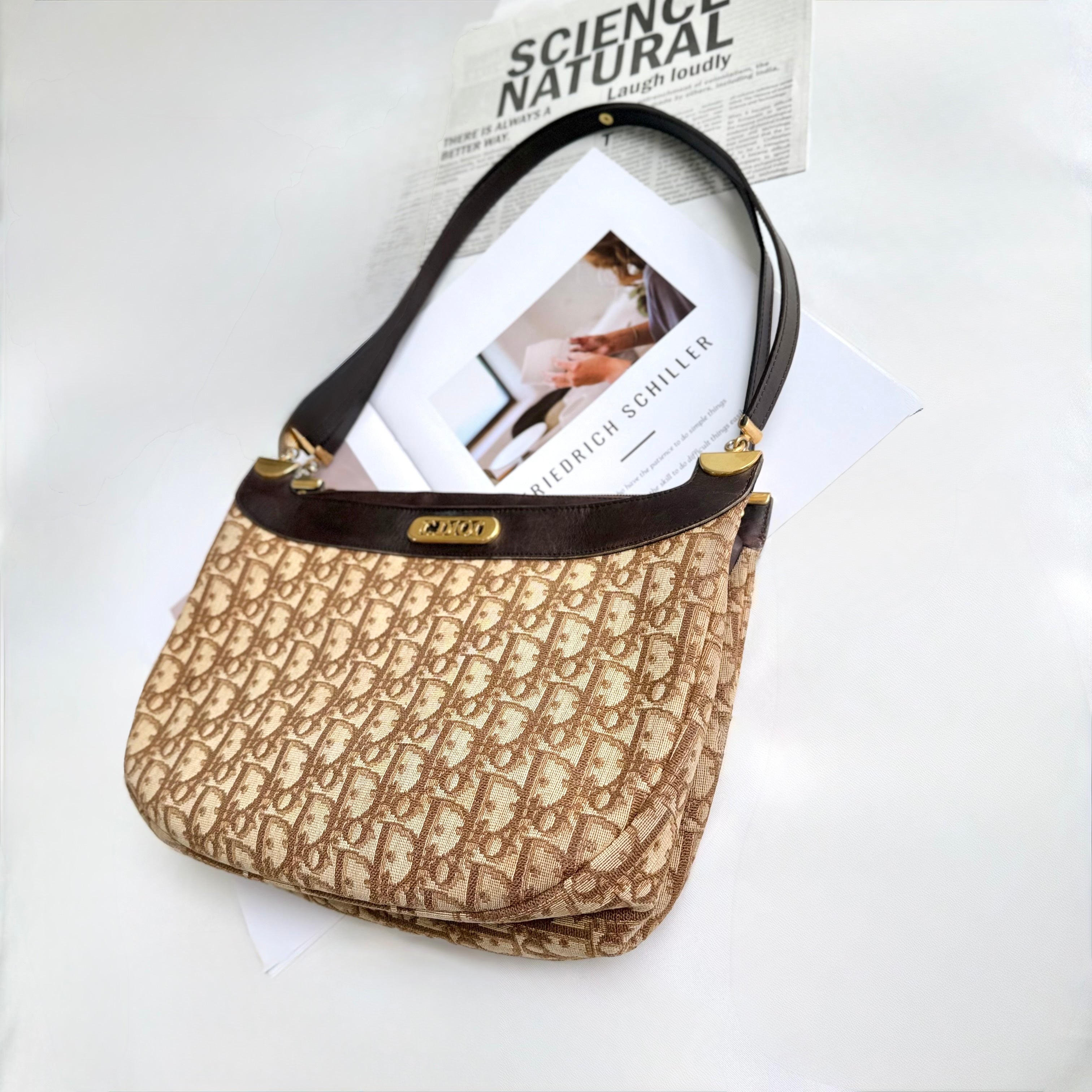 Christian Dior Trotter Brown Canvas Shoulder Bag