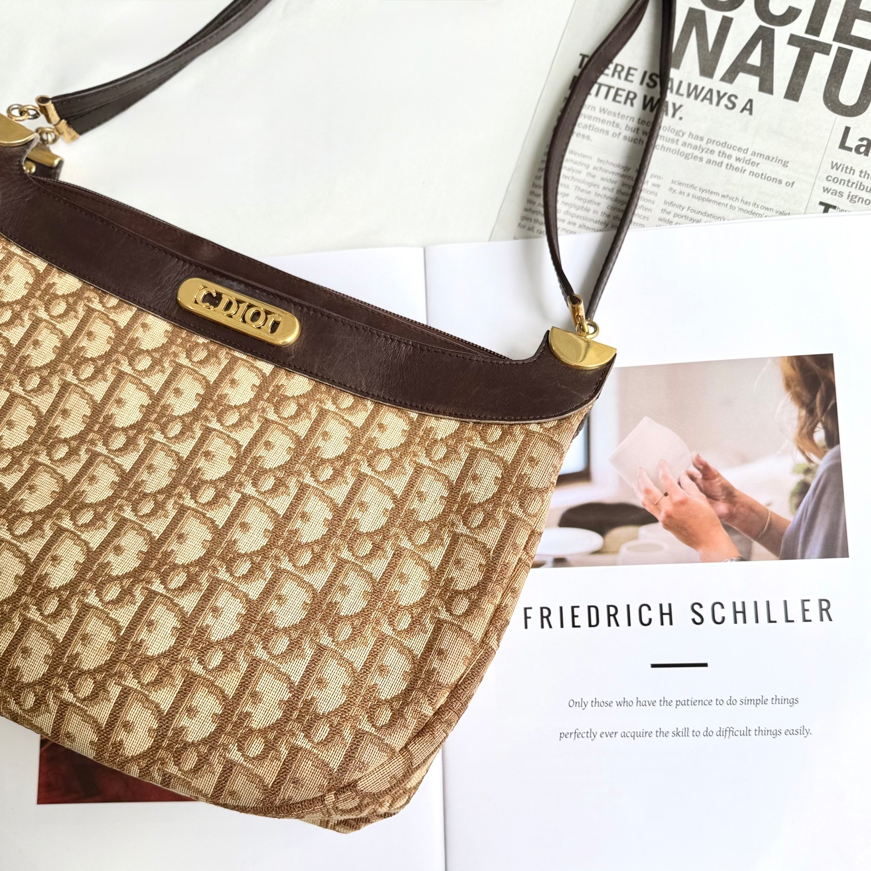 Christian Dior Trotter Brown Canvas Shoulder Bag