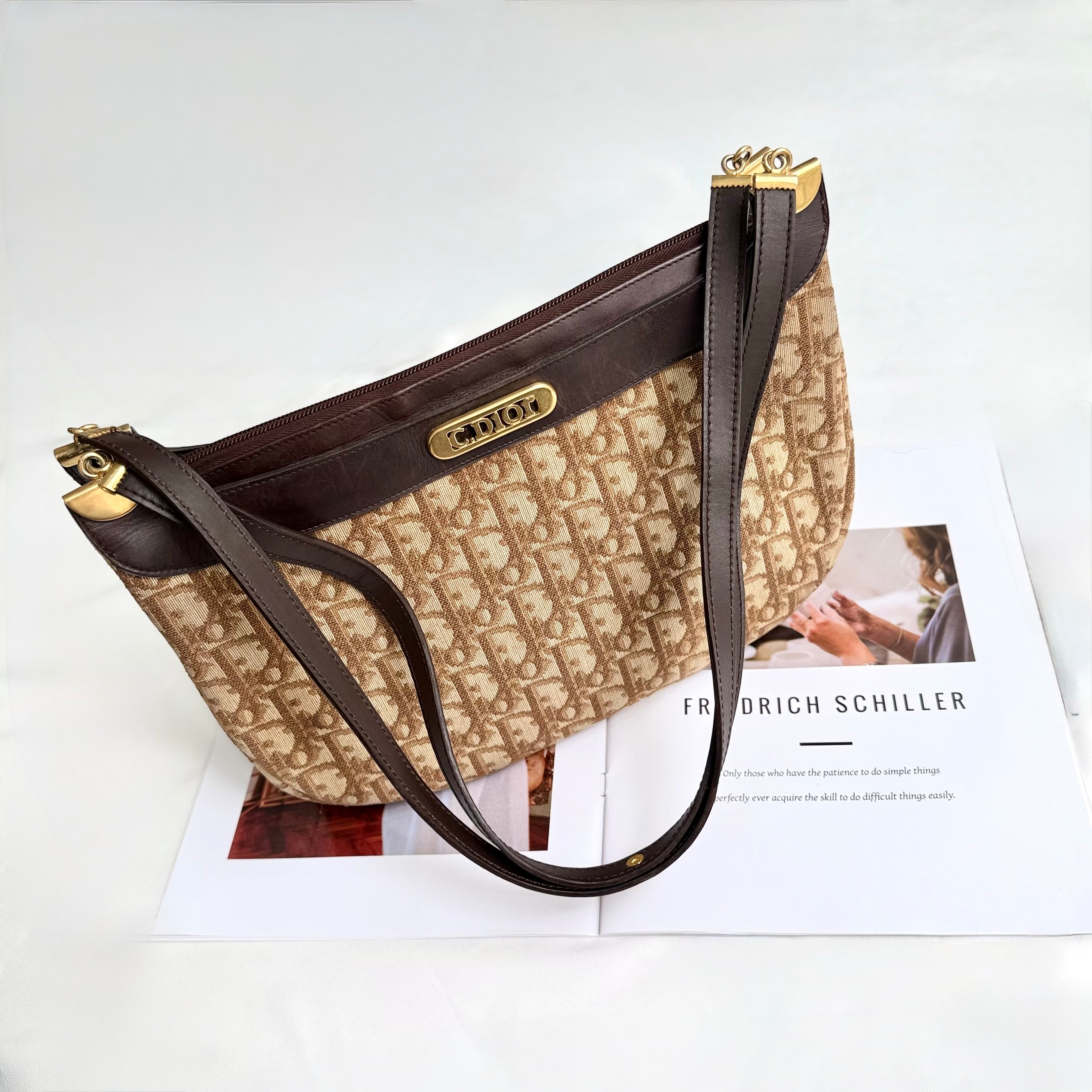 Christian Dior Trotter Brown Canvas Shoulder Bag