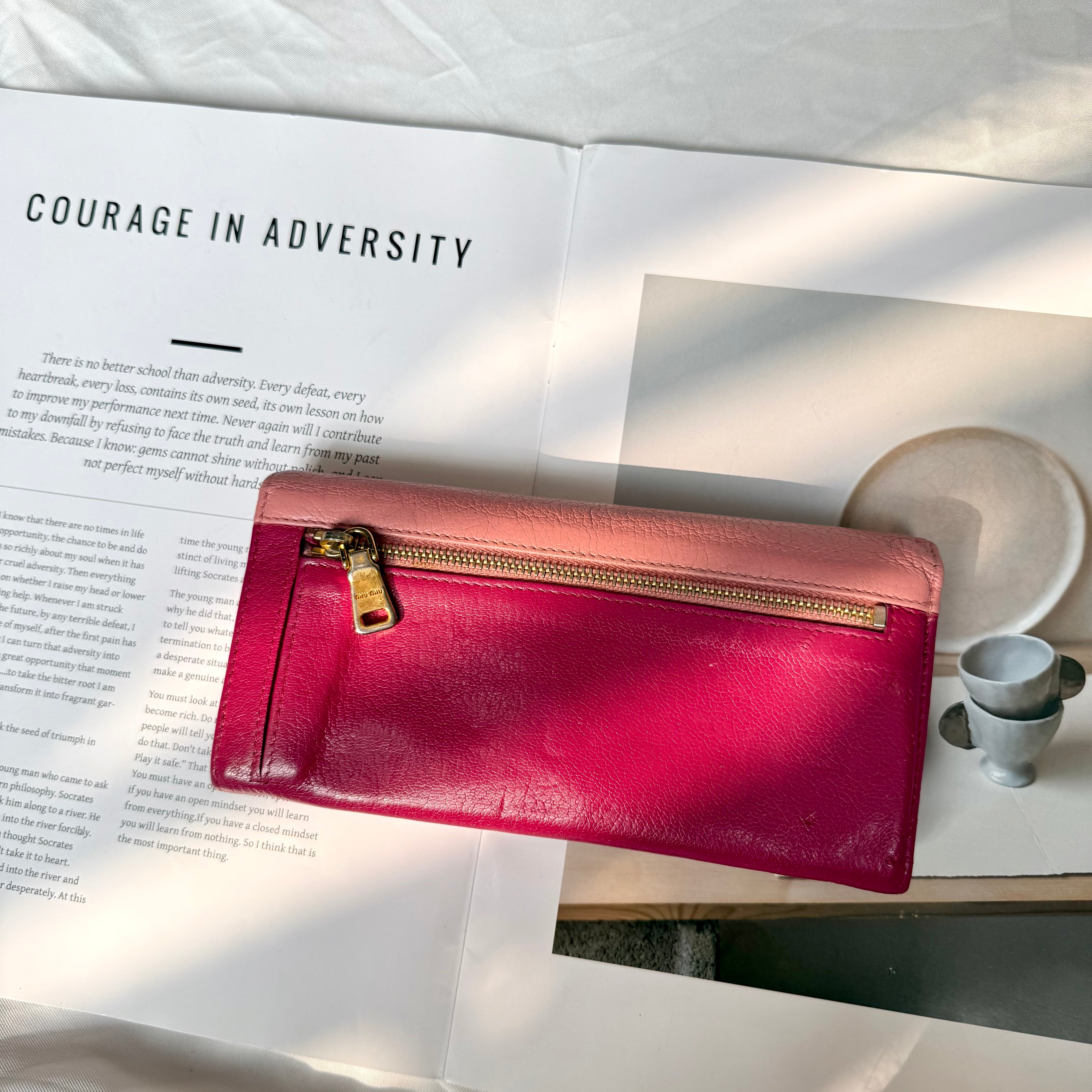 Miu Miu Blush Pink Long Wallet