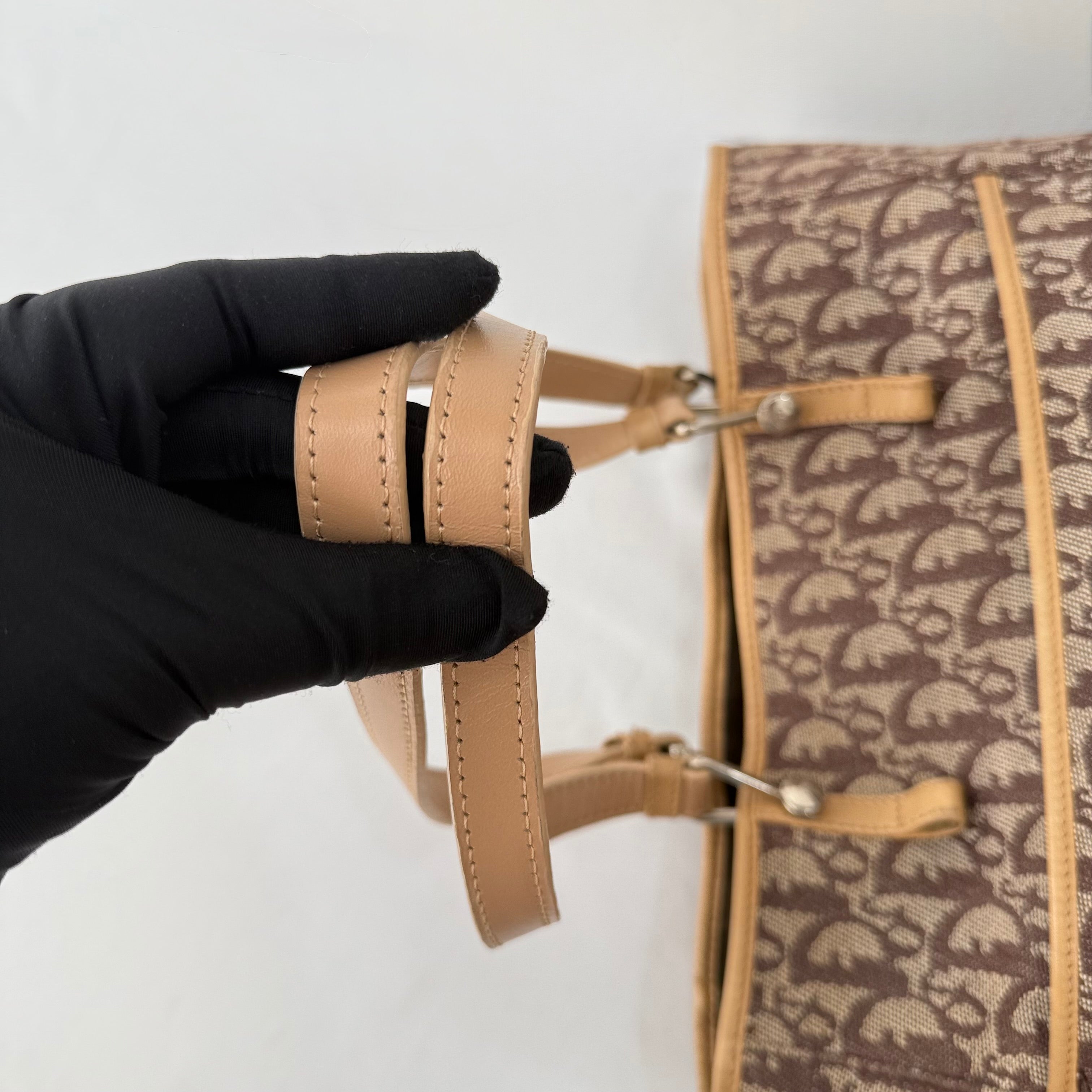 Christian Dior Trotter Brown Canvas Tote Bag