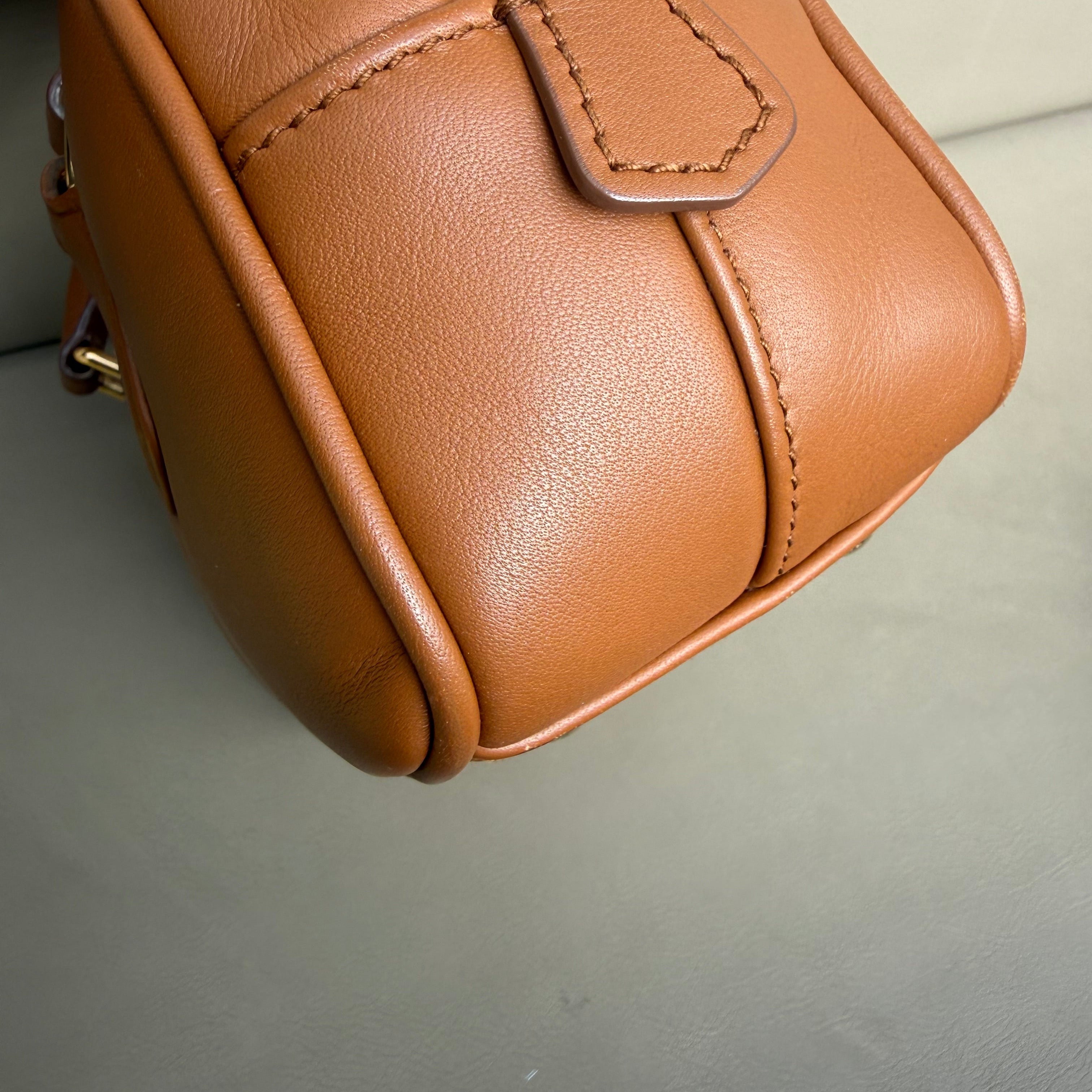 Miu Miu Arcadie leather bag