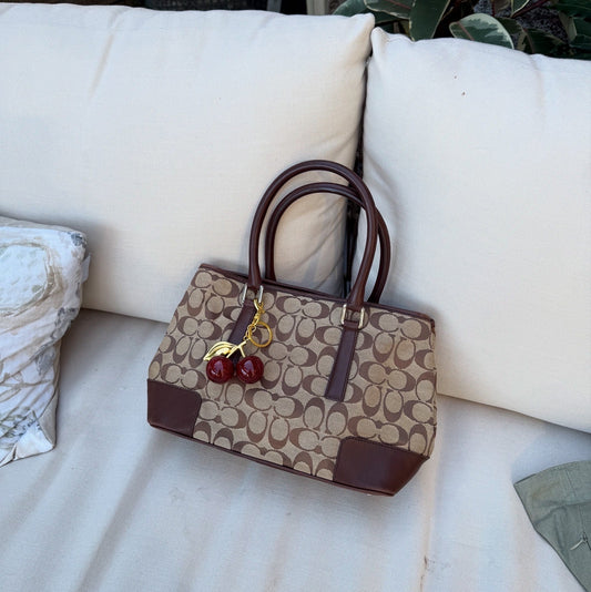 Coach Signature Leather Canvas Handbag Brown