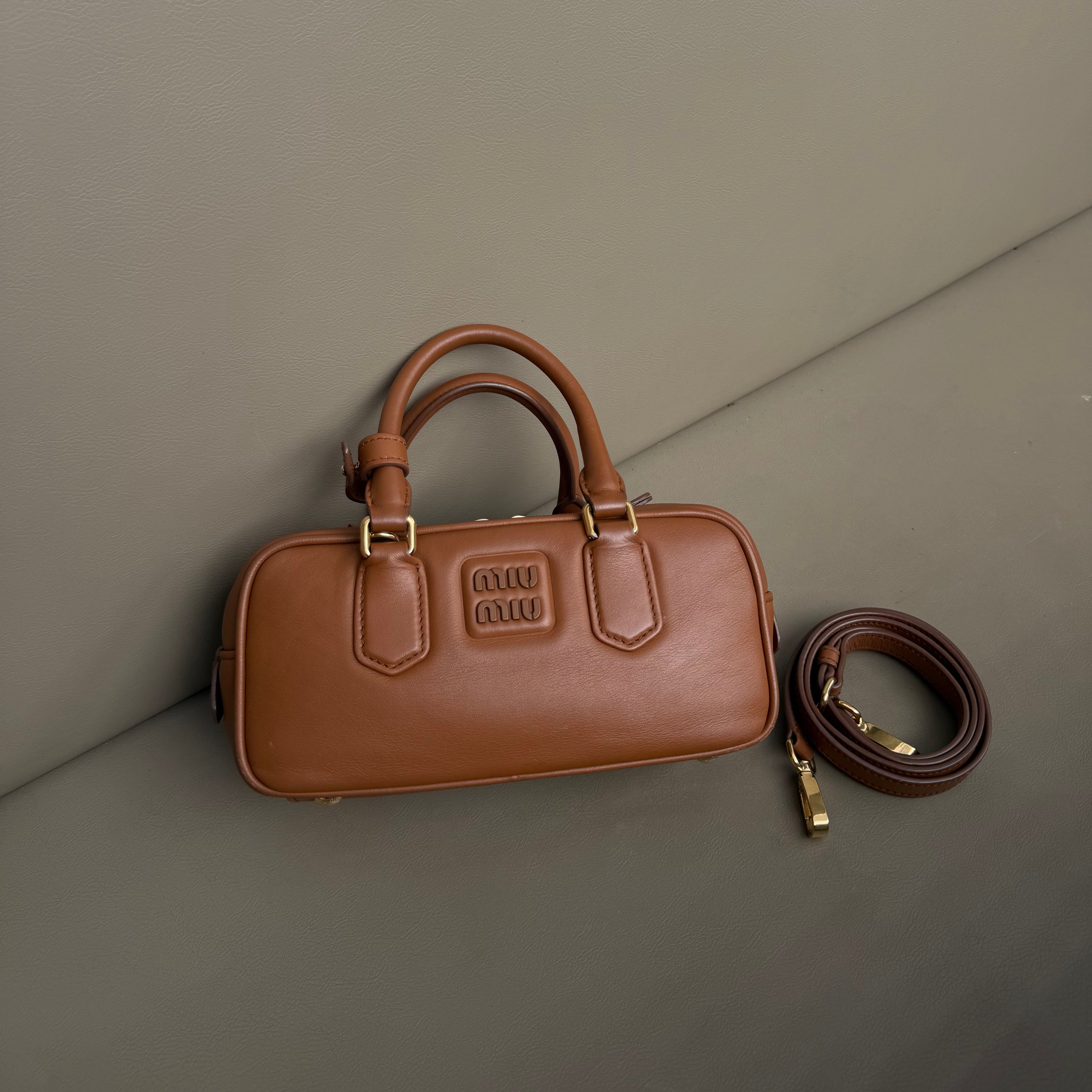 Miu Miu Arcadie leather bag