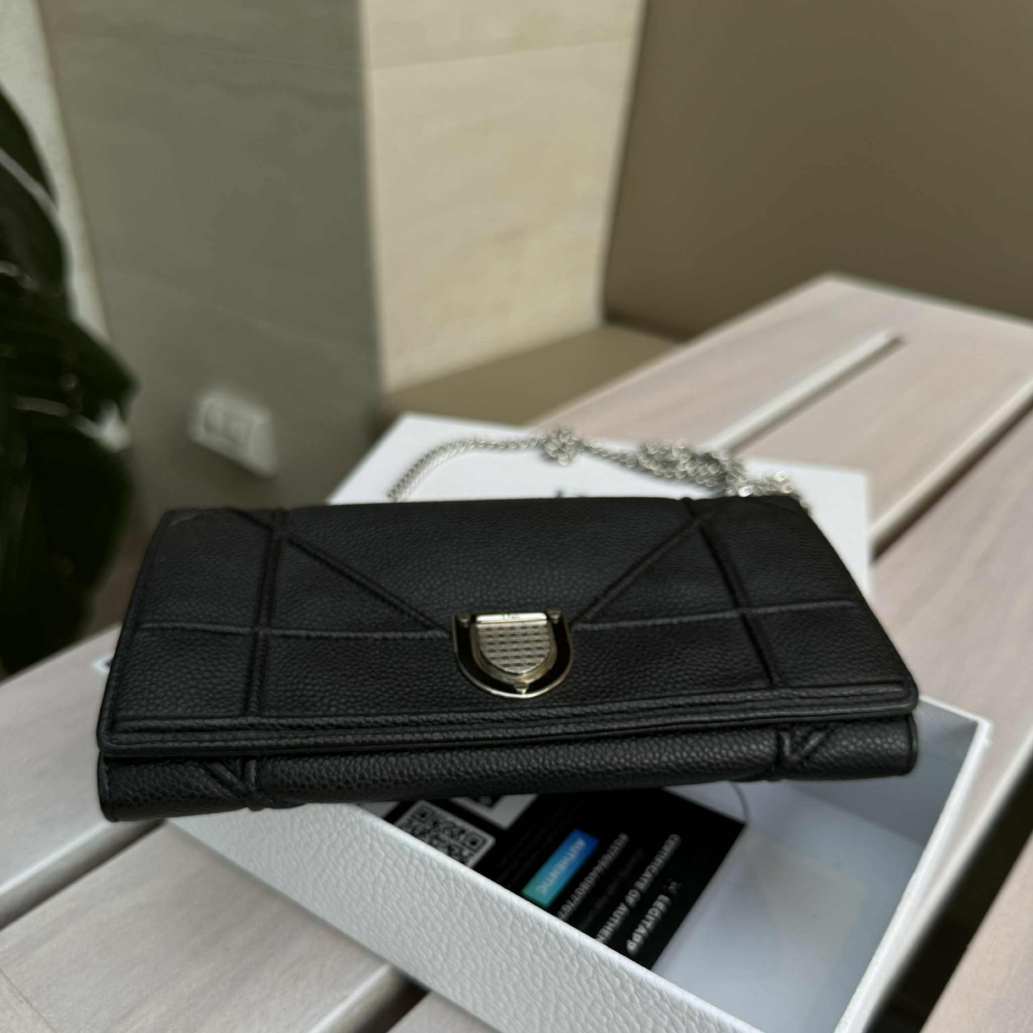 Dior Diorama Wallet on Chain