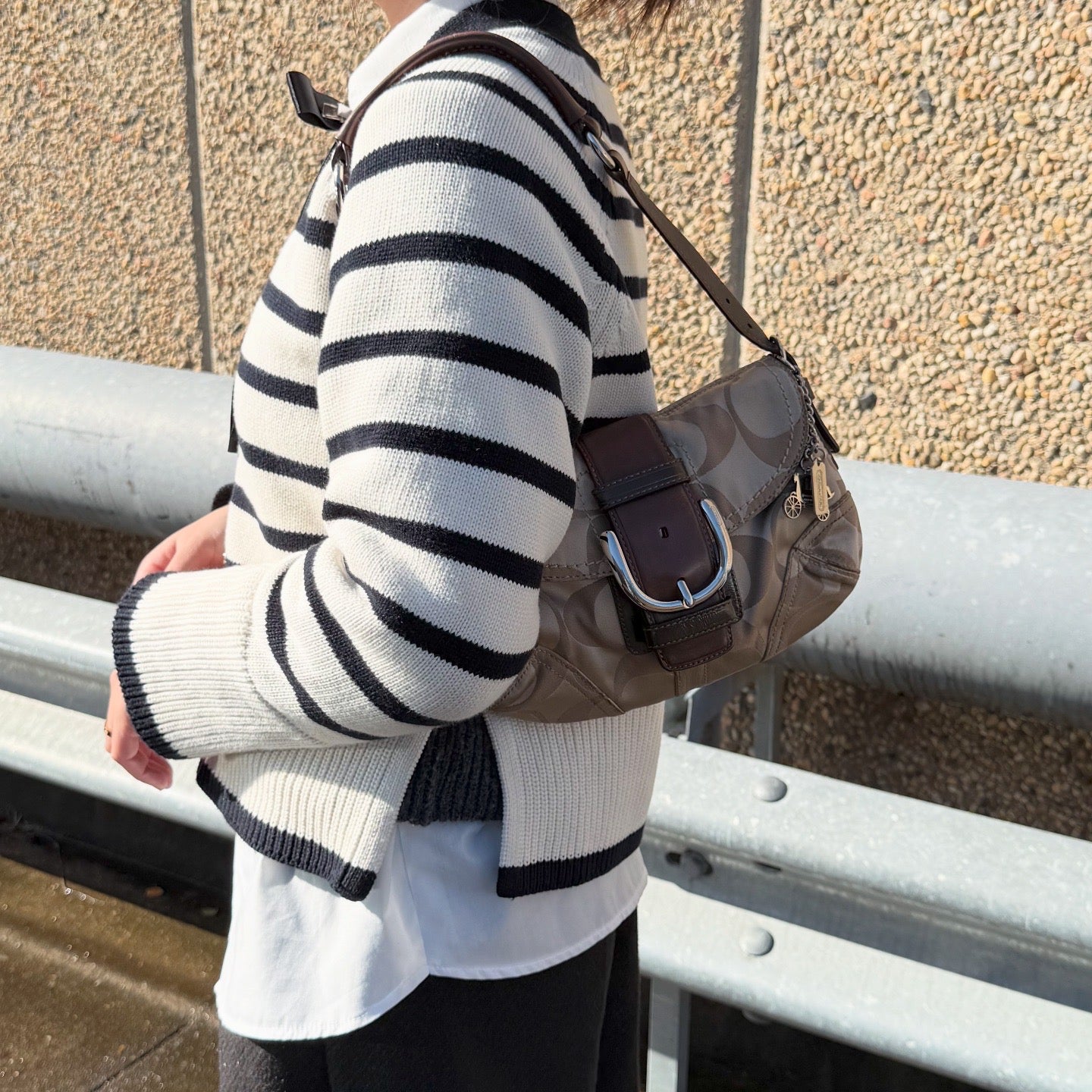 COACH Soho Signature Canvas Hobo Shoulder Bag
