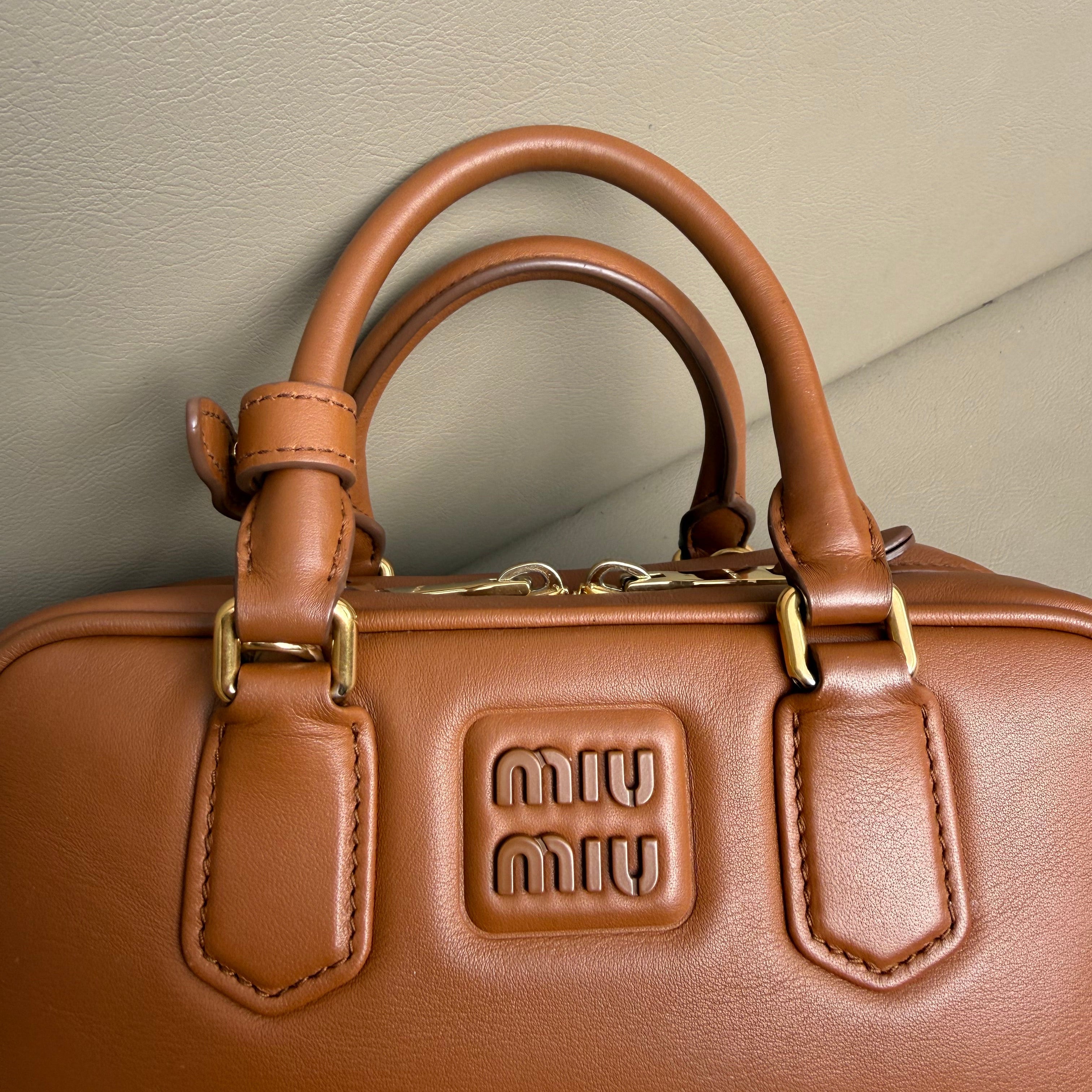 Miu Miu Arcadie leather bag