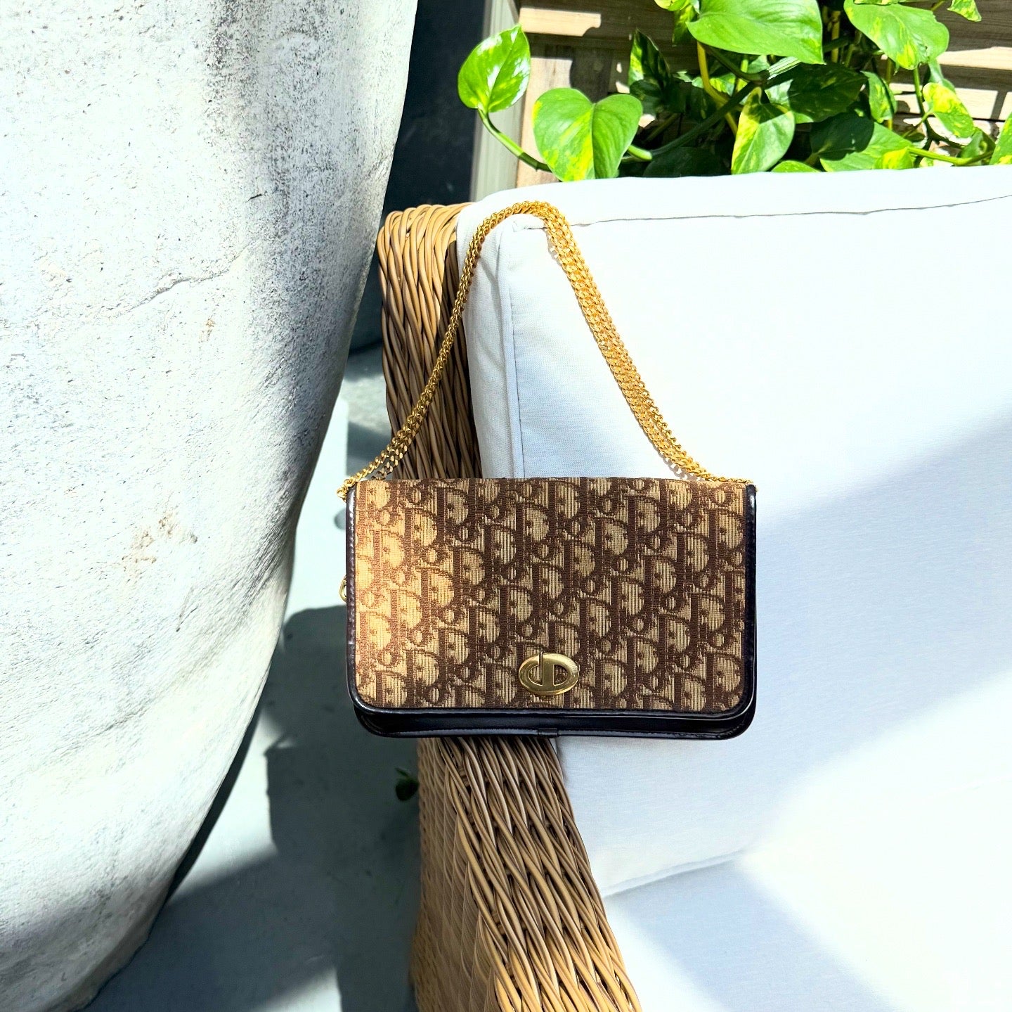 Dior Brown Trotter Jacquard Chain Shoulder Bag