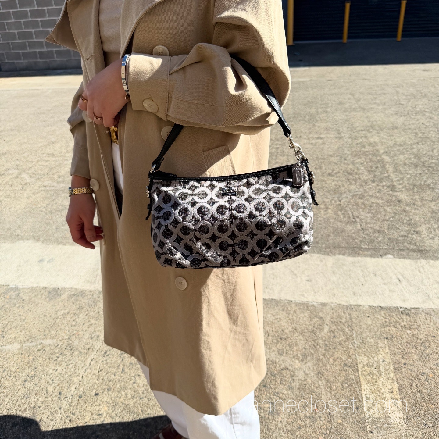 Coach Canvas Black and Silver Signature C Handbag