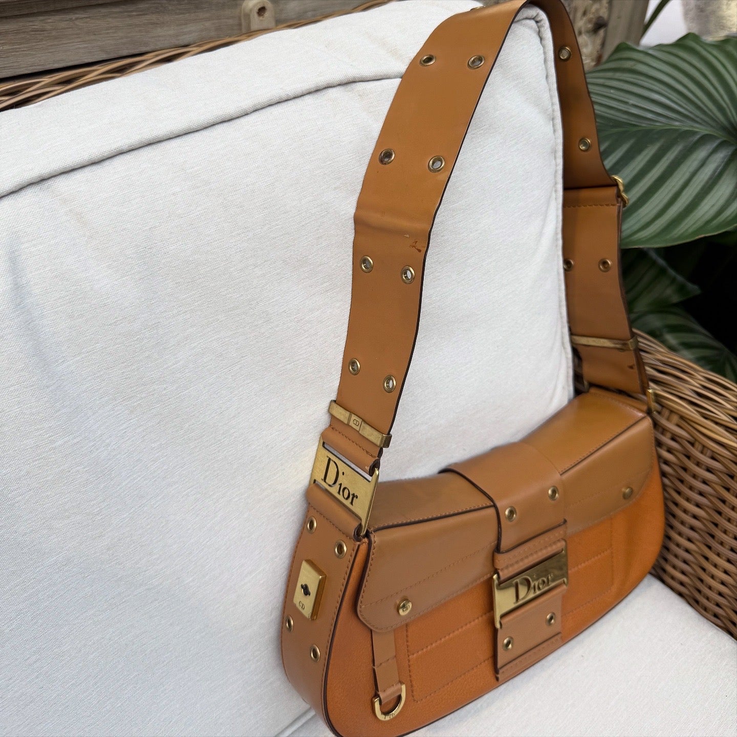 Christian Dior Trotter Streetchic Bag