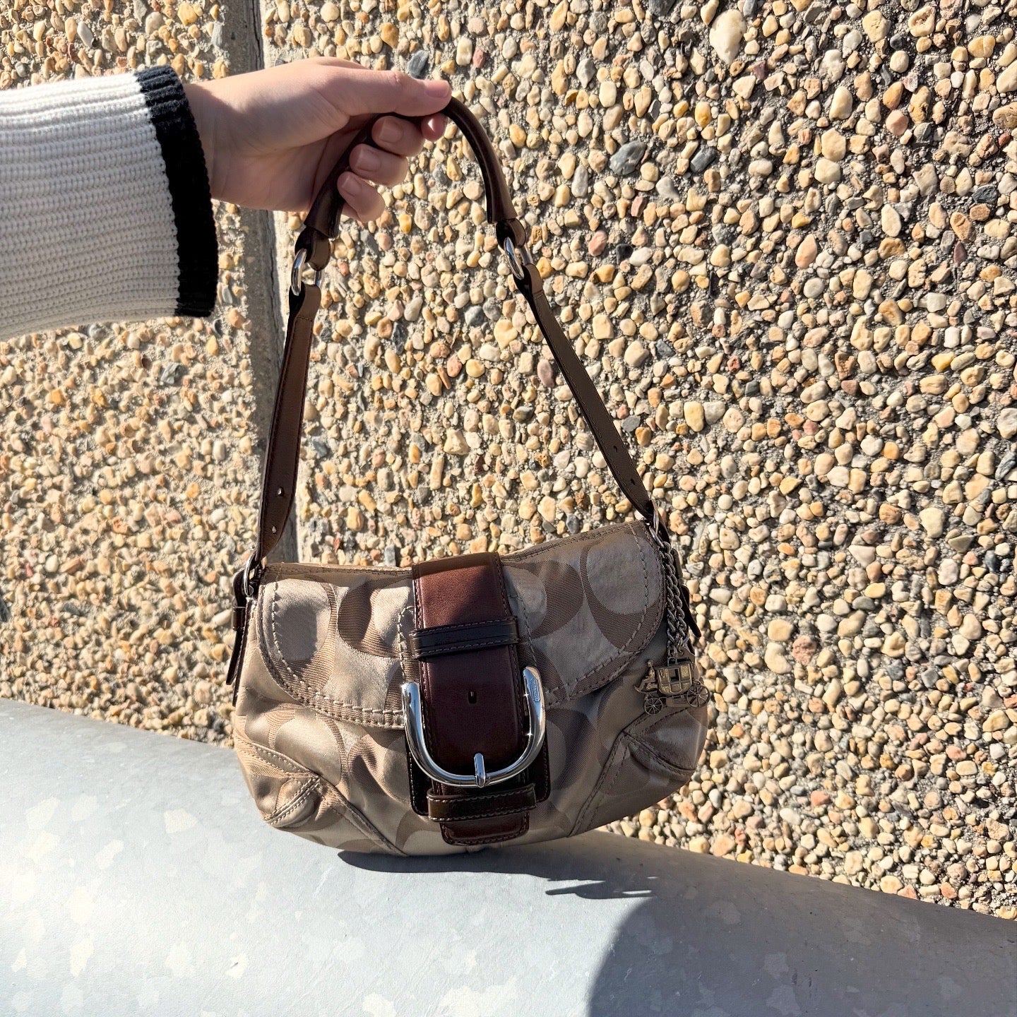 COACH Soho Signature Canvas Hobo Shoulder Bag