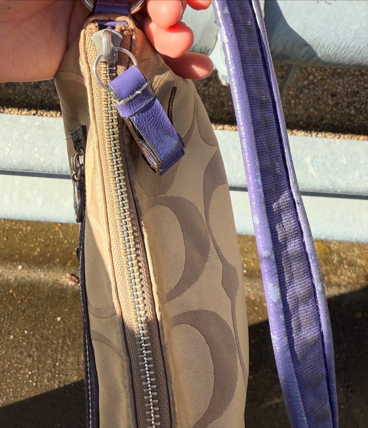 Coach Signature C Jacquard Purple Strap & Trim