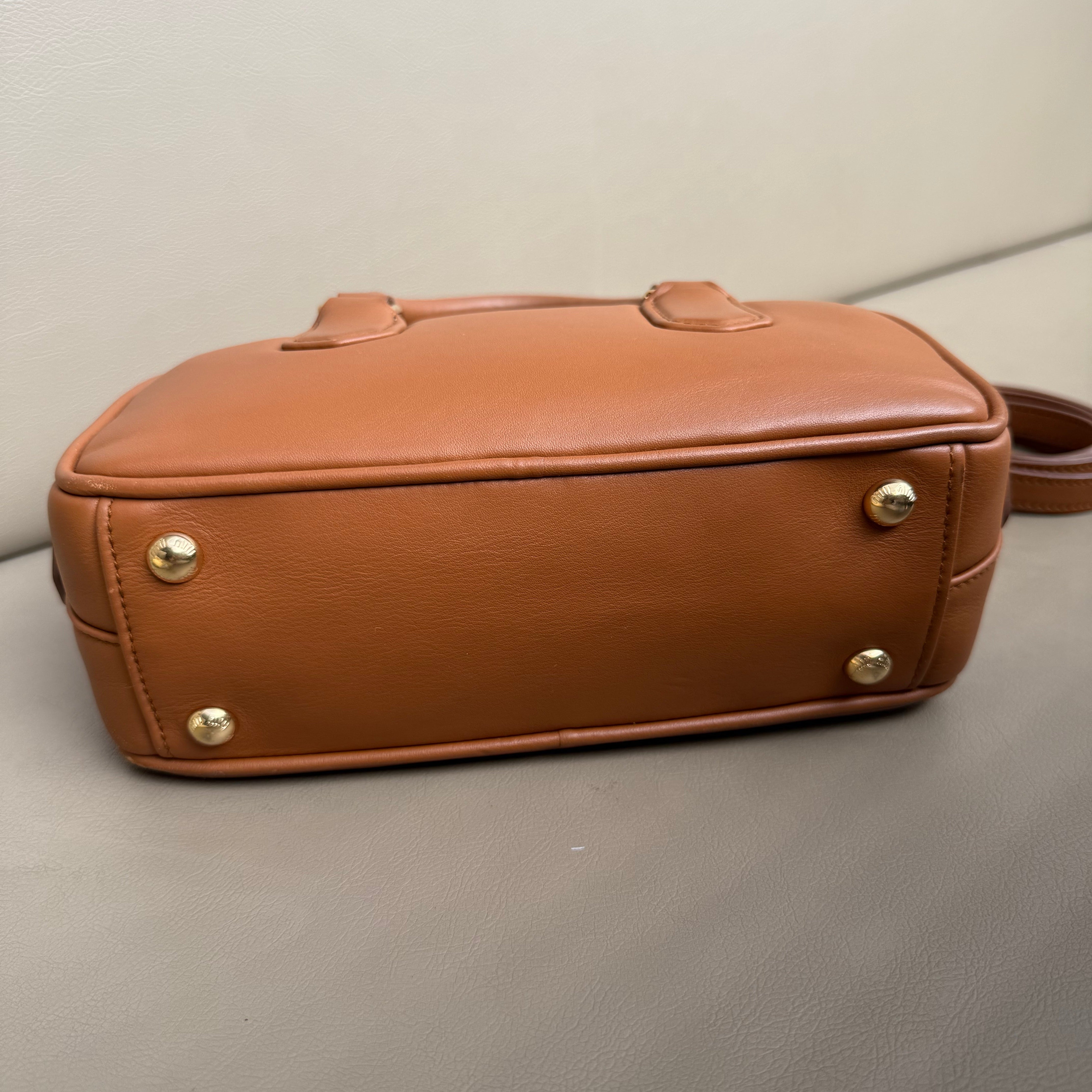 Miu Miu Arcadie leather bag
