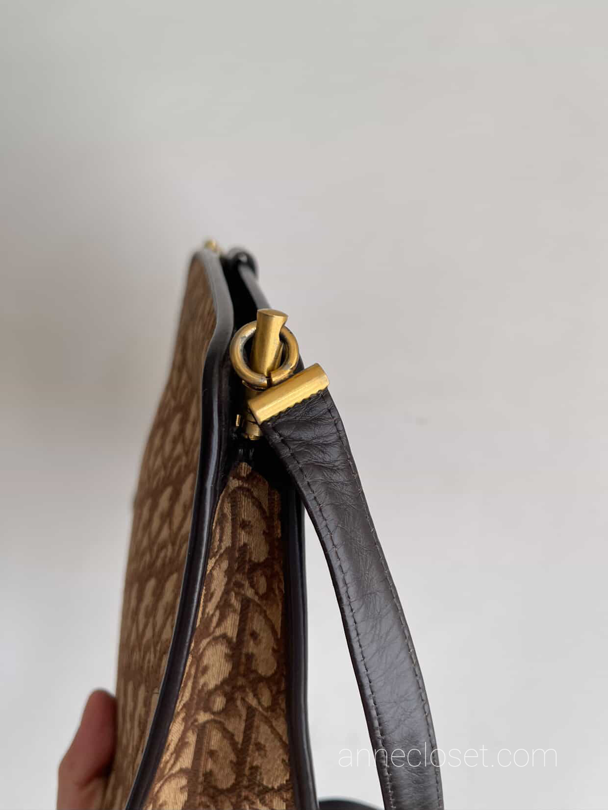 Christian Dior Vintage Trotter Canvas