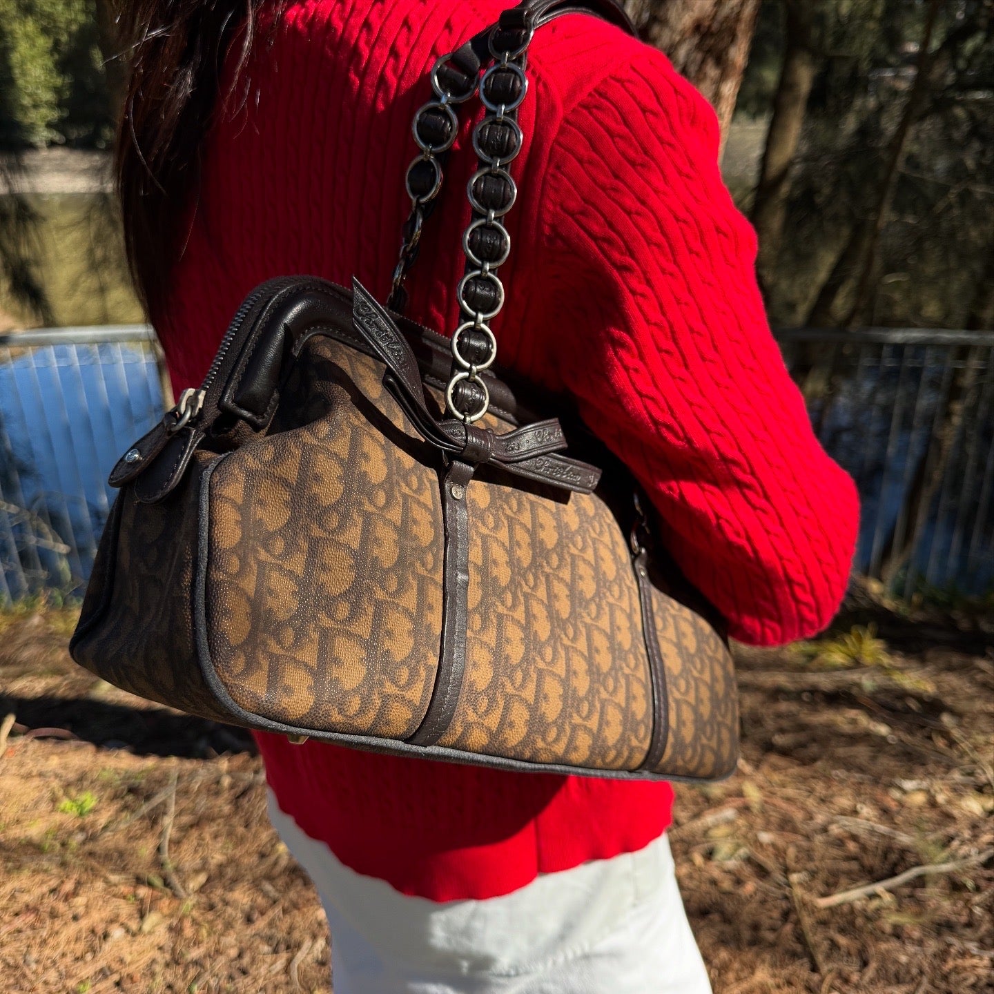 Dior Romantique Brown Trotter Ribbon Handbag