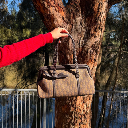 Dior Romantique Brown Trotter Ribbon Handbag