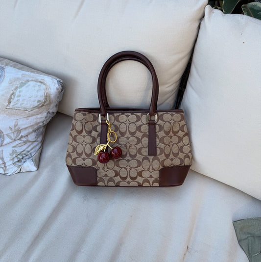 Coach Signature Leather Canvas Handbag Brown