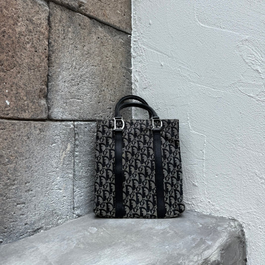 Dior Trotter Tote Hand Bag