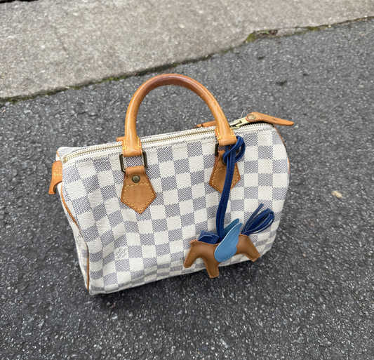Louis Vuitton Speedy 25 Damier Azur