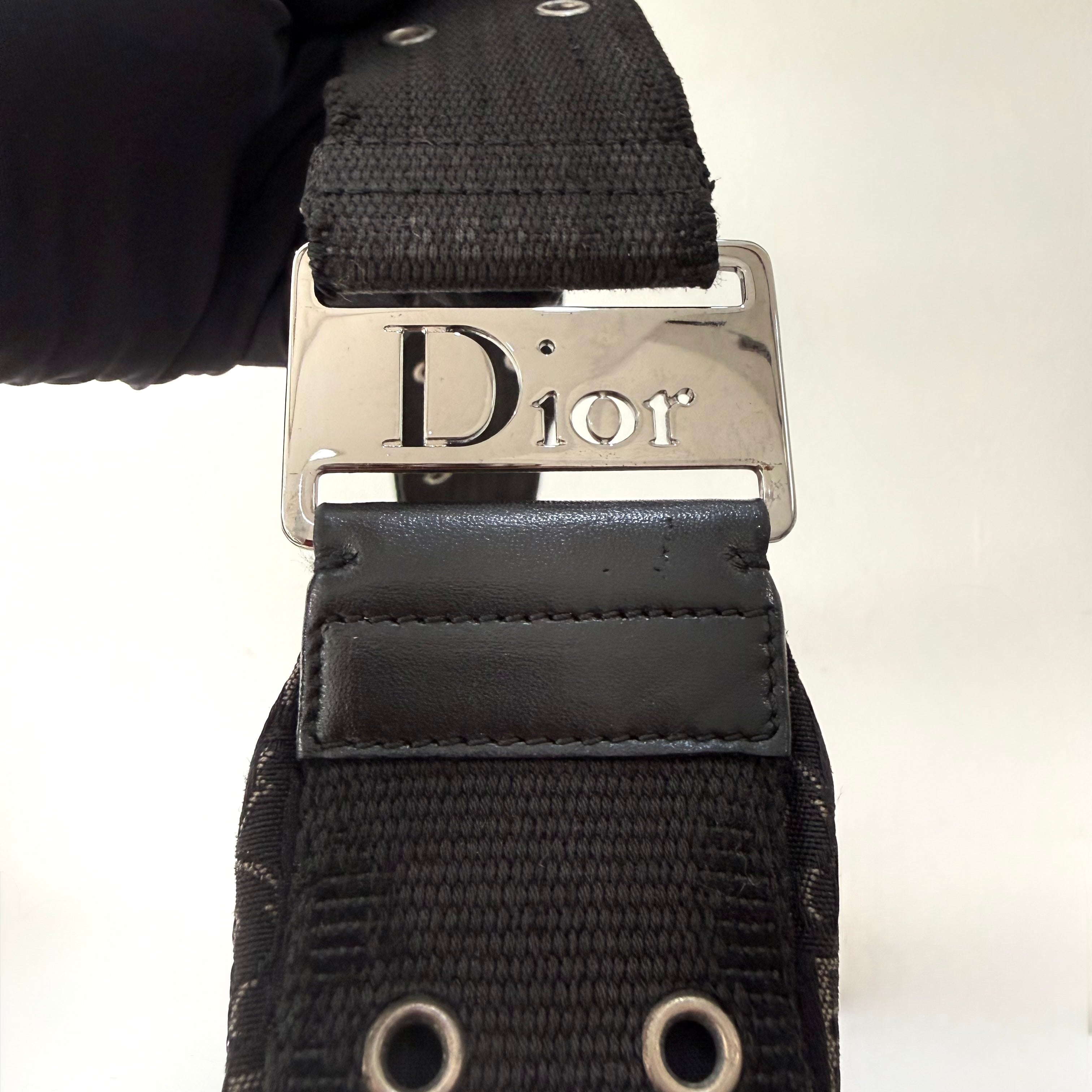 CHRISTIAN DIOR BLACK DIORISSIMO HALF MOON BAG