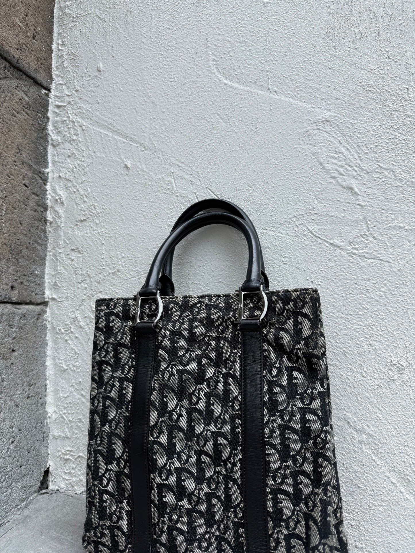 Dior Trotter Tote Hand Bag