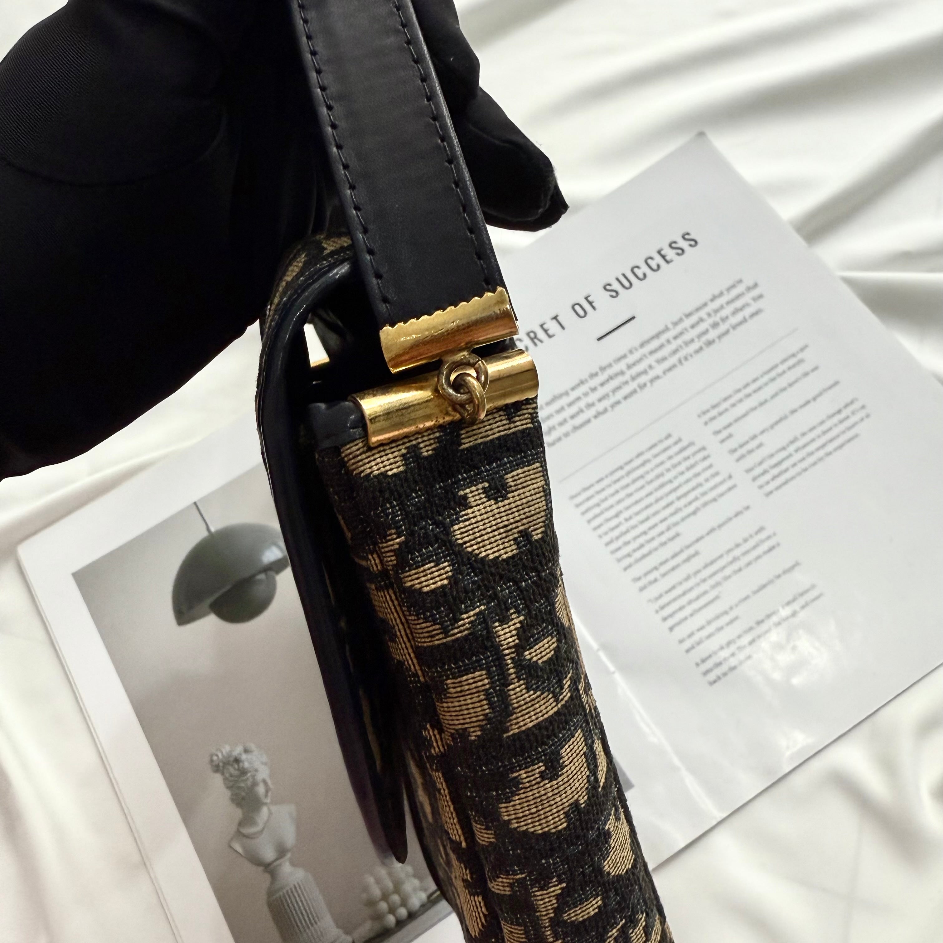 Dior Vintage Shoulder Bag Canvas Trotter