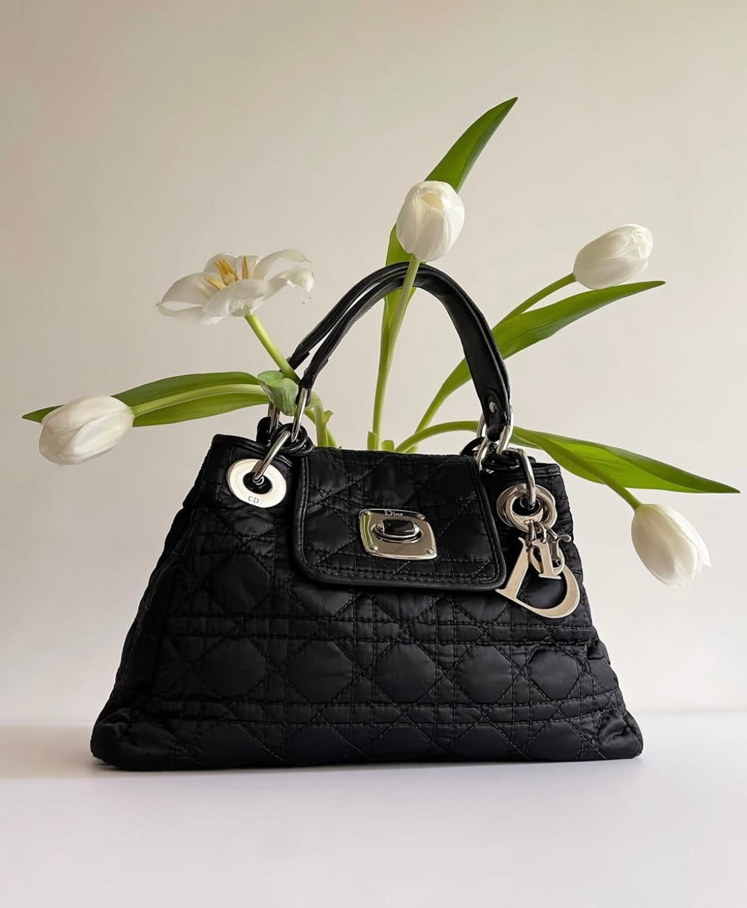 Dior Charming Nylon Cannage Tote
