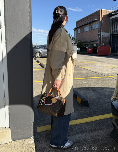 Louis Vuitton Monogram Speedy 25