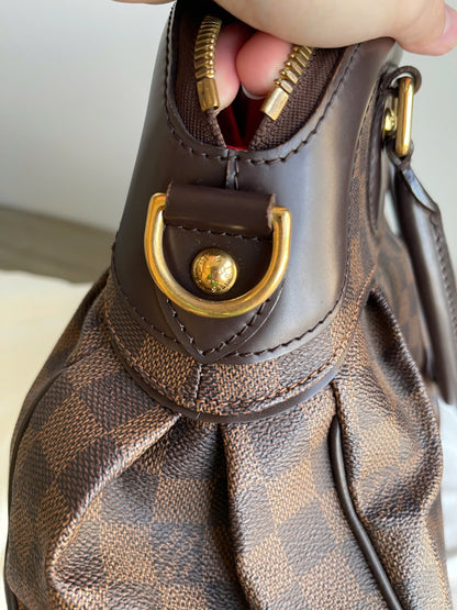 Louis Vuitton Trevi PM Damier Ebene