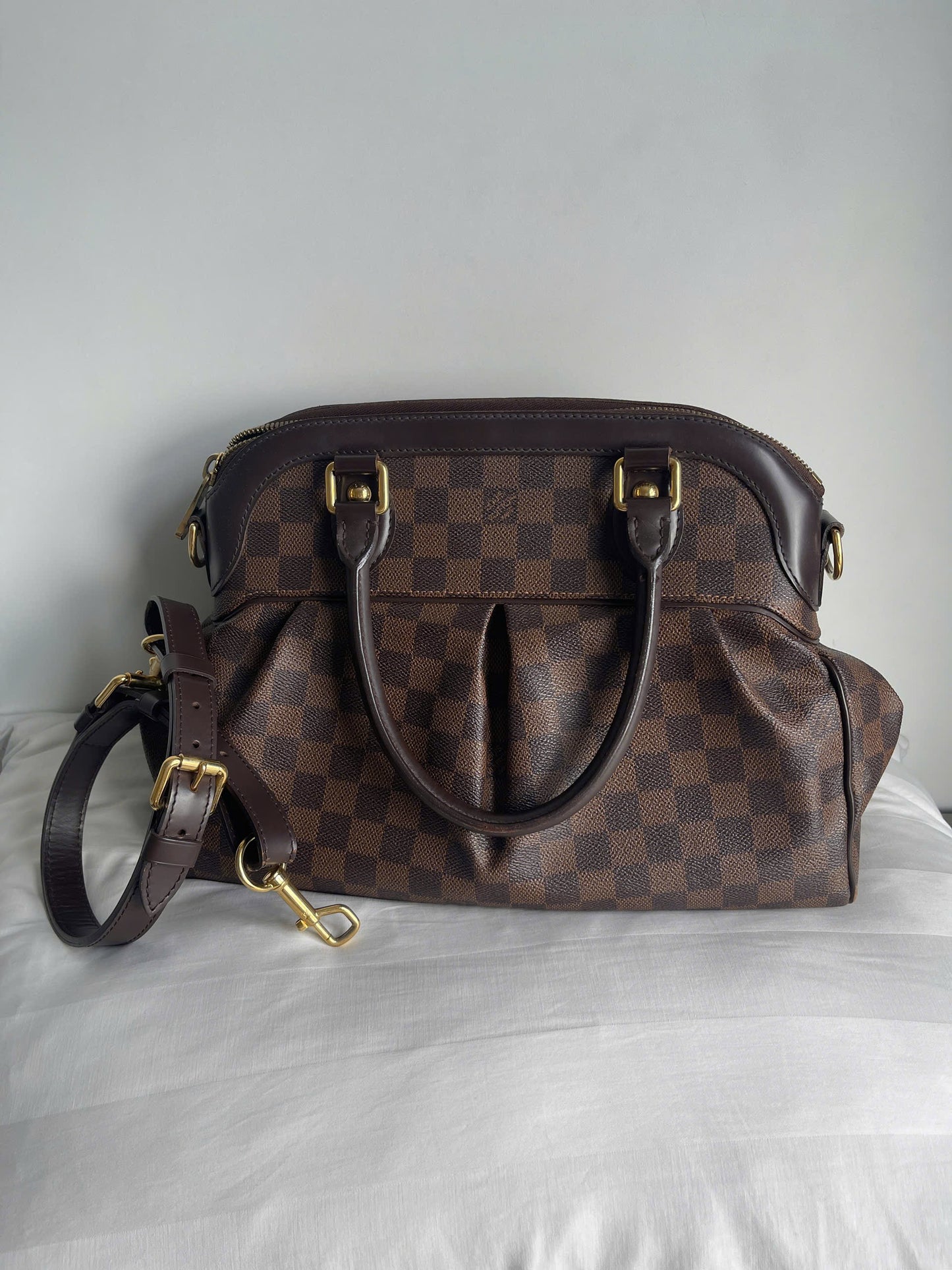 Louis Vuitton Trevi PM Damier Ebene