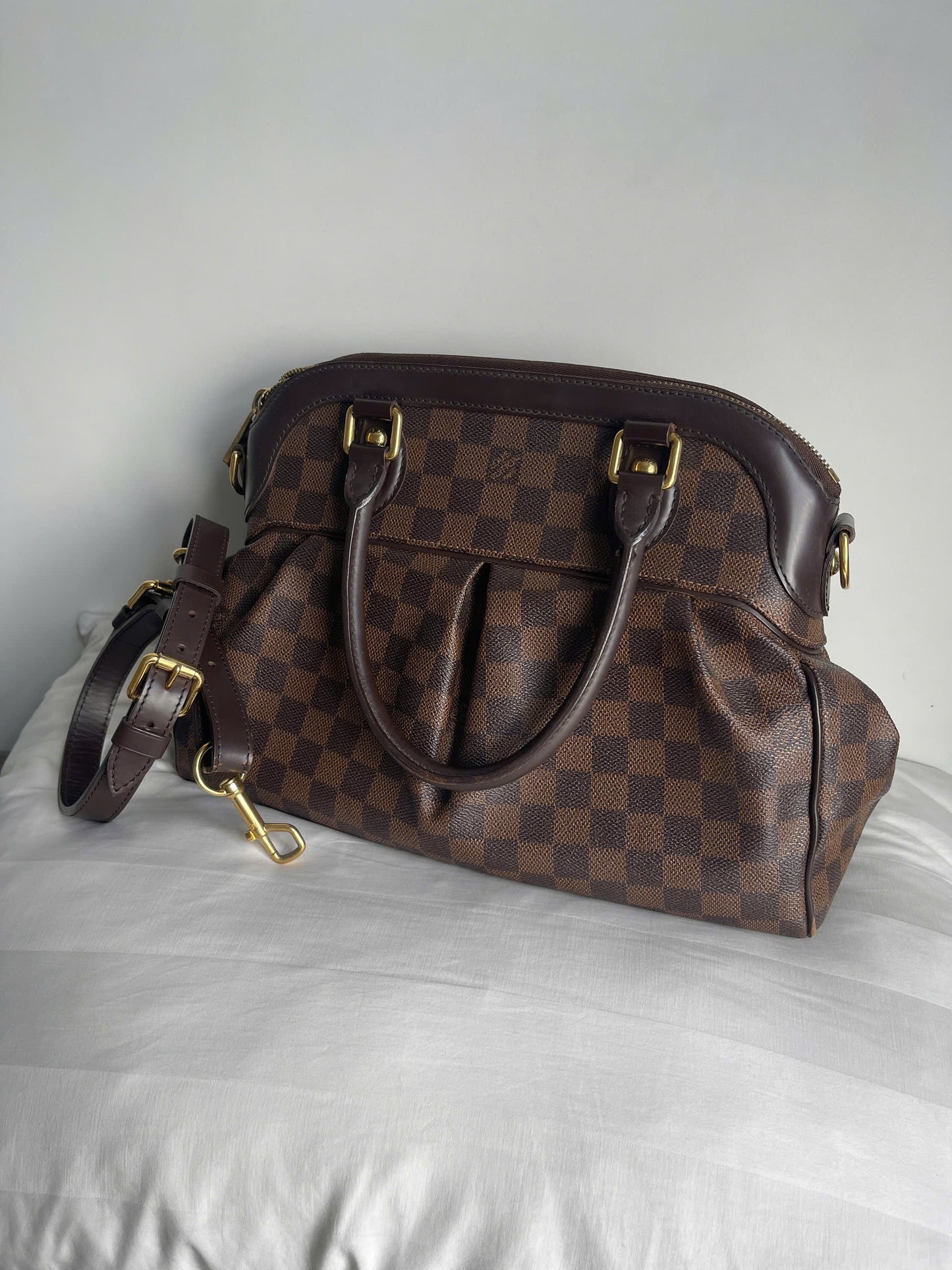 Louis Vuitton Trevi PM Damier Ebene