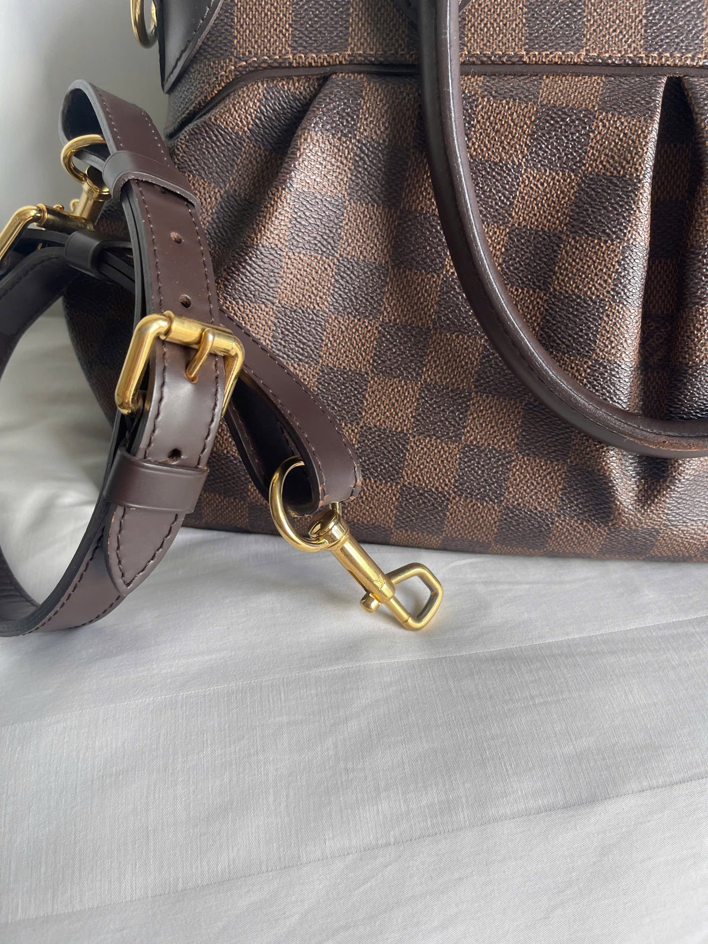Louis Vuitton Trevi PM Damier Ebene