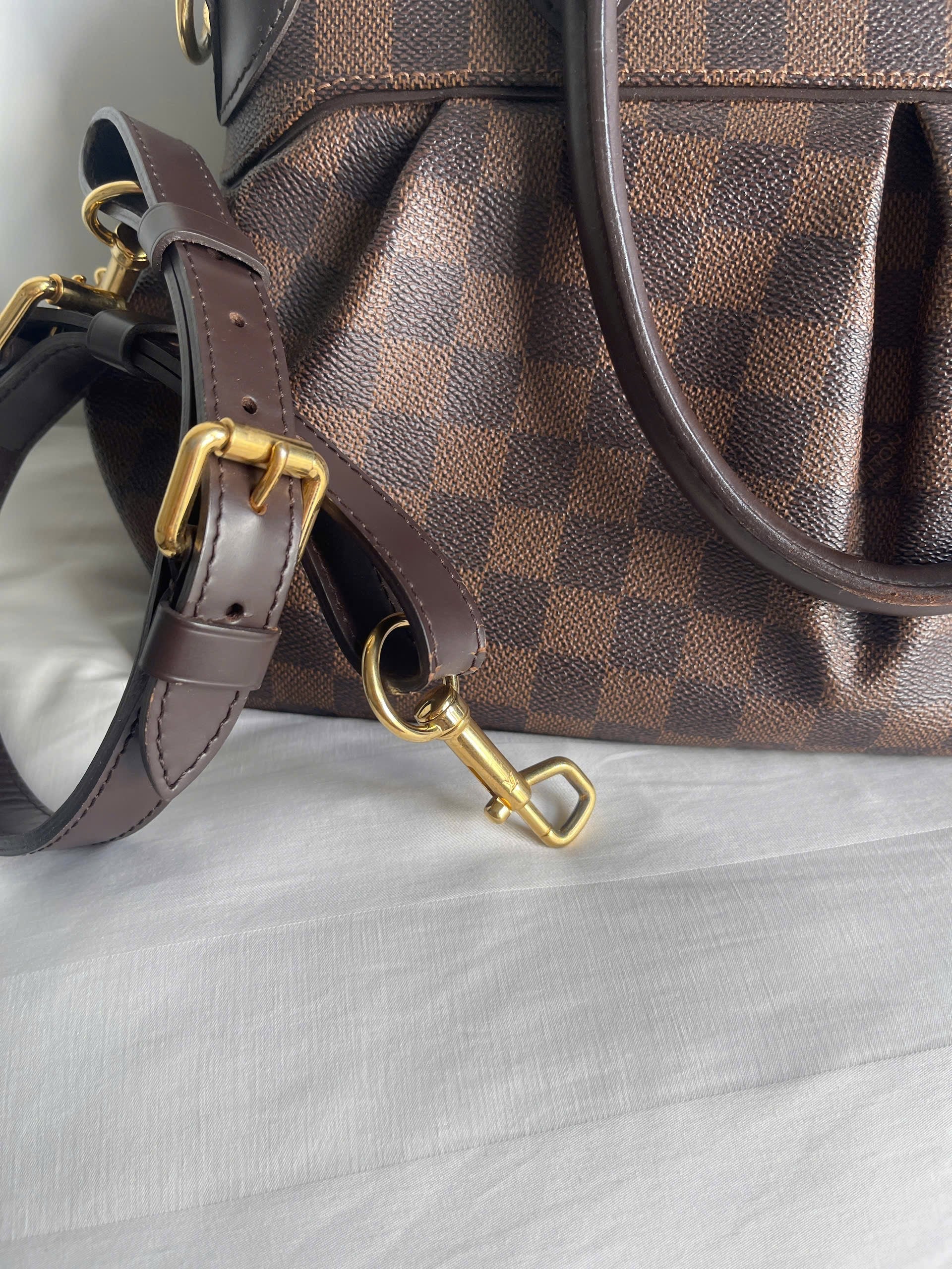 Louis Vuitton Trevi PM Damier Ebene