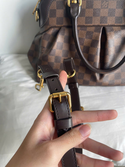 Louis Vuitton Trevi PM Damier Ebene