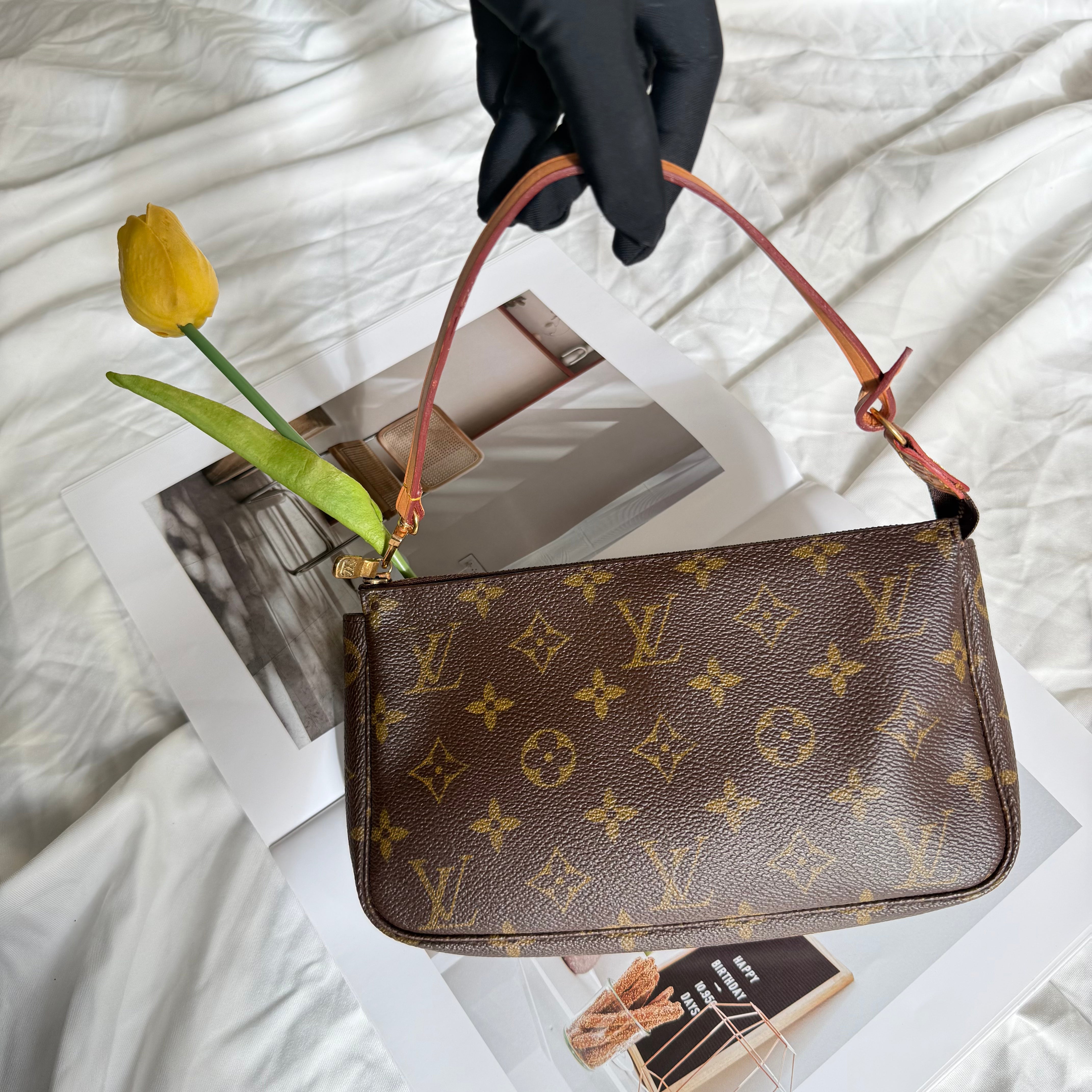 Louis Vuitton Pochette Accessoires Monogram