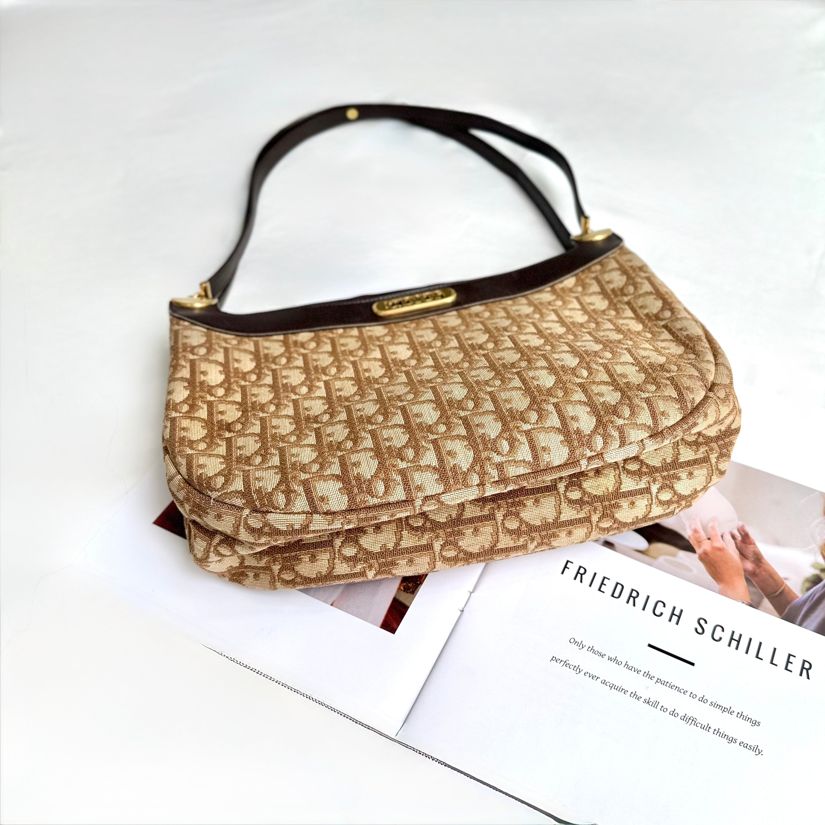 Christian Dior Trotter Brown Canvas Shoulder Bag
