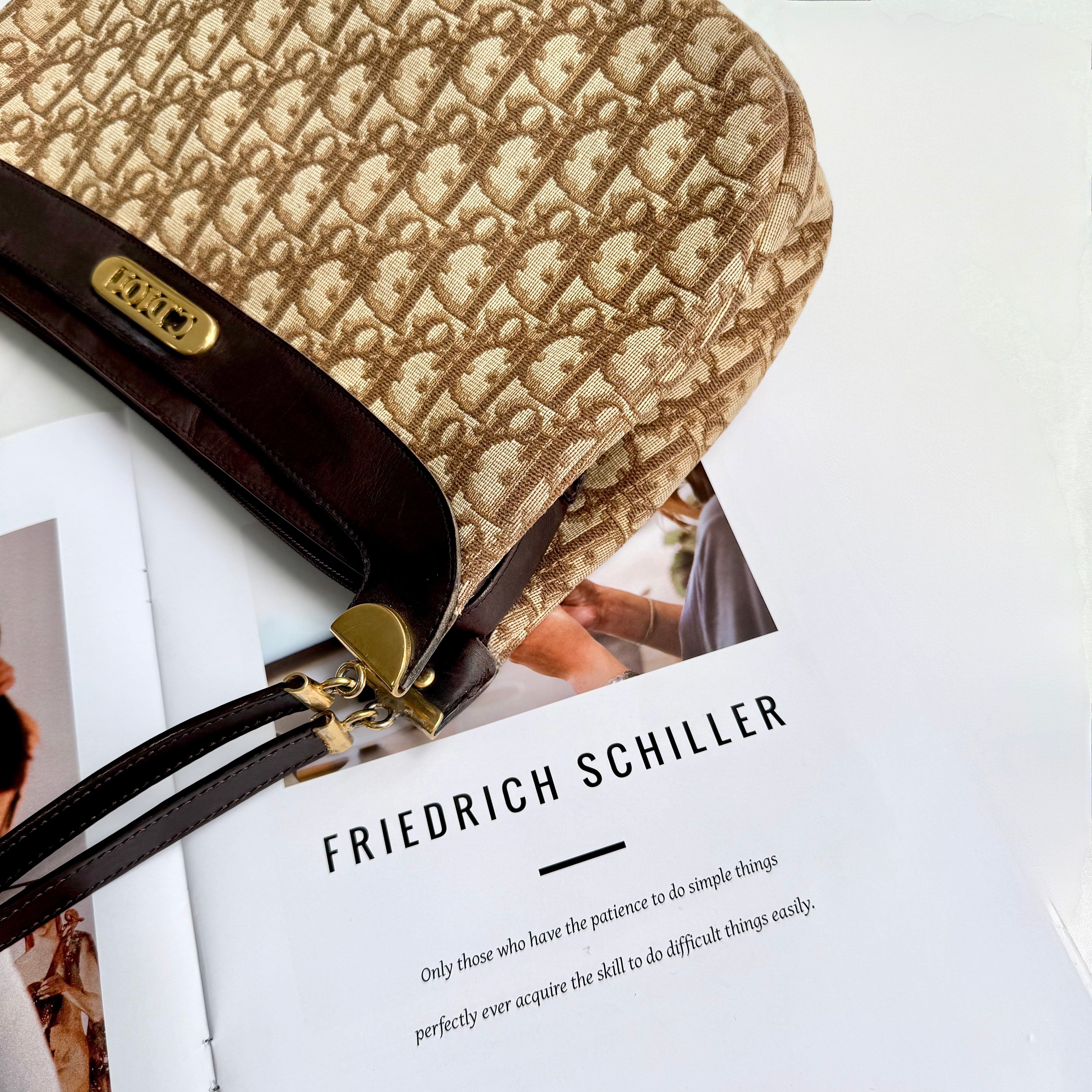 Christian Dior Trotter Brown Canvas Shoulder Bag